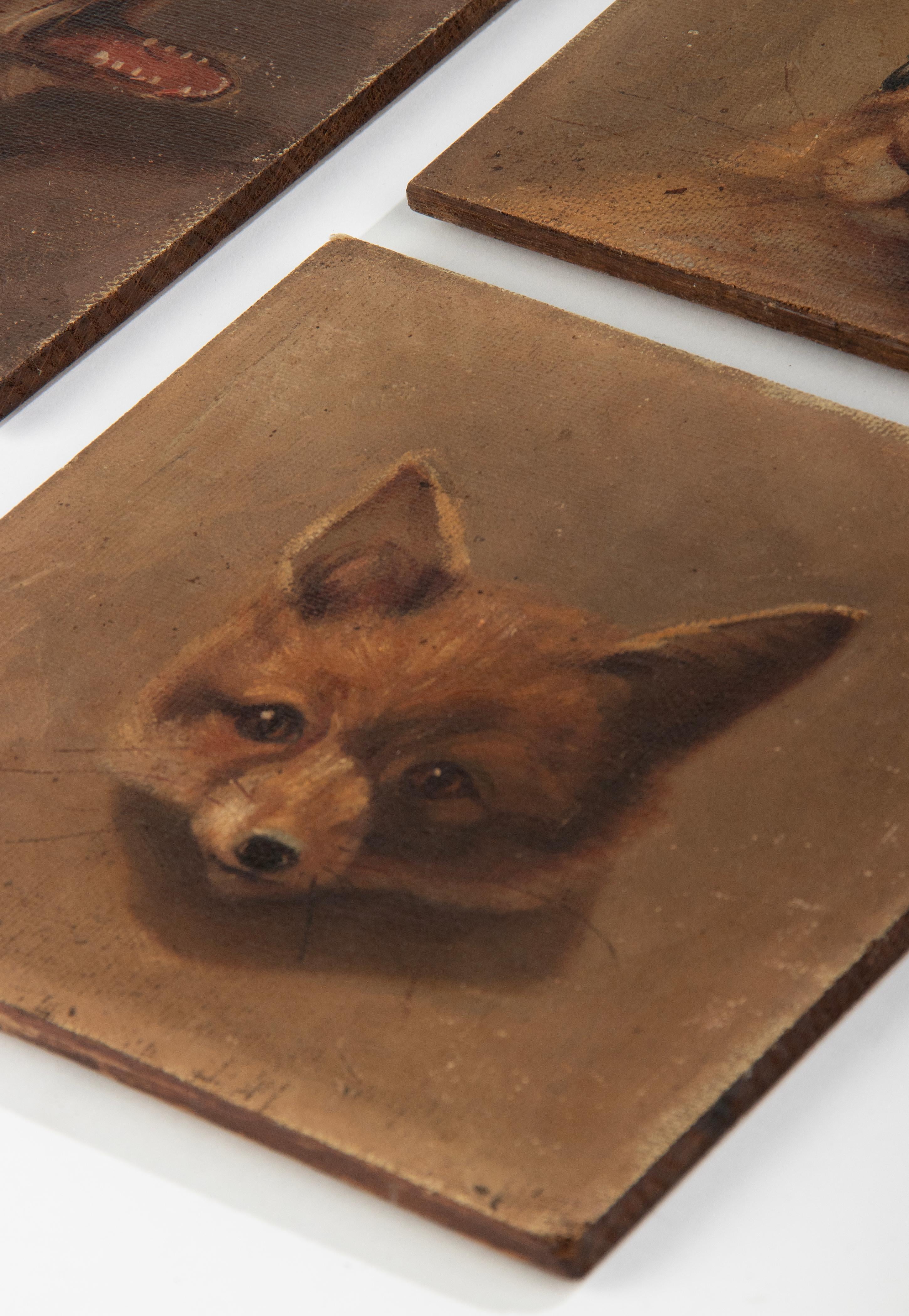 Early 20th Century Portrait Oil Paintings of Hare and Foxes For Sale 3