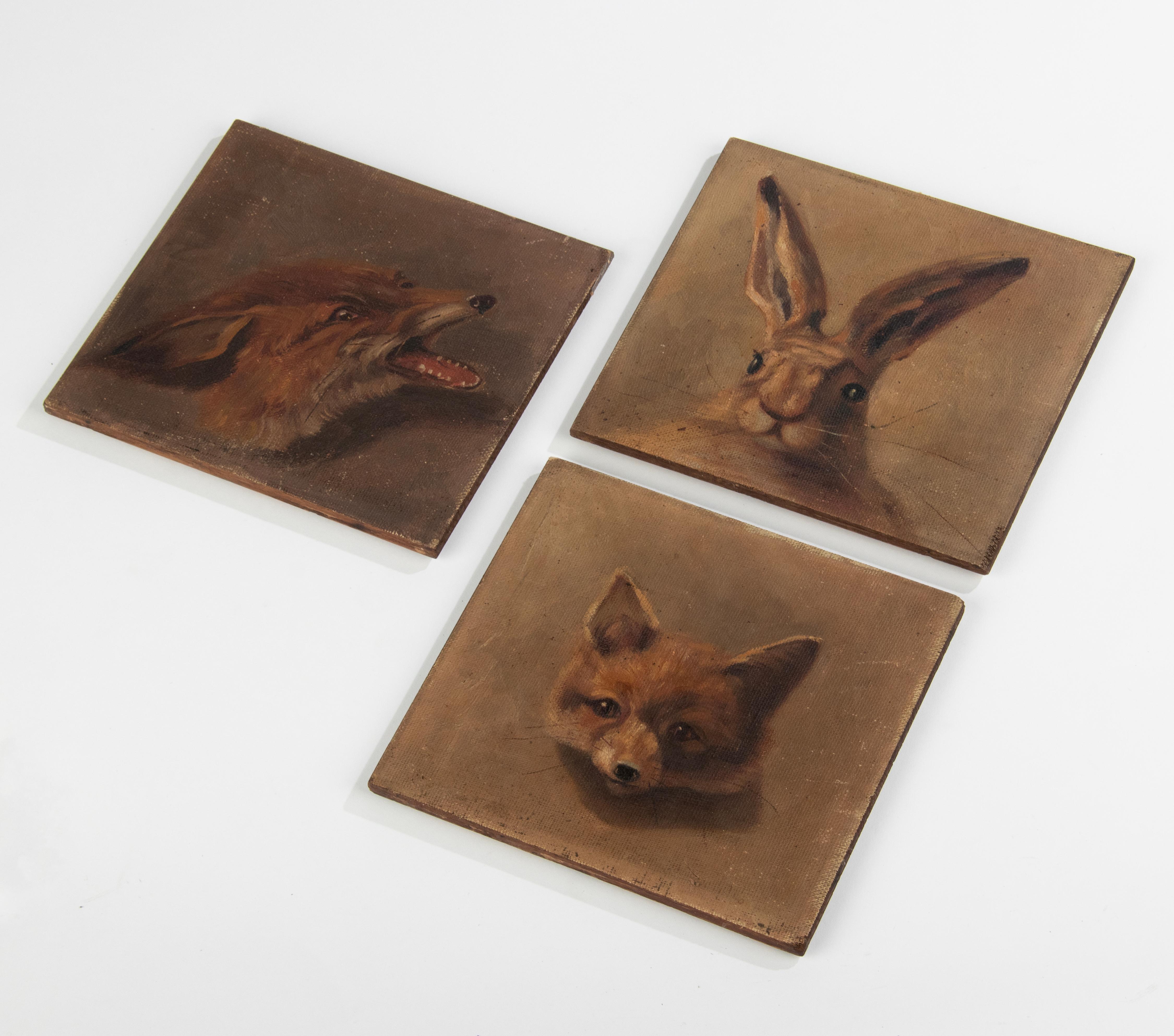 Early 20th Century Portrait Oil Paintings of Hare and Foxes For Sale 4