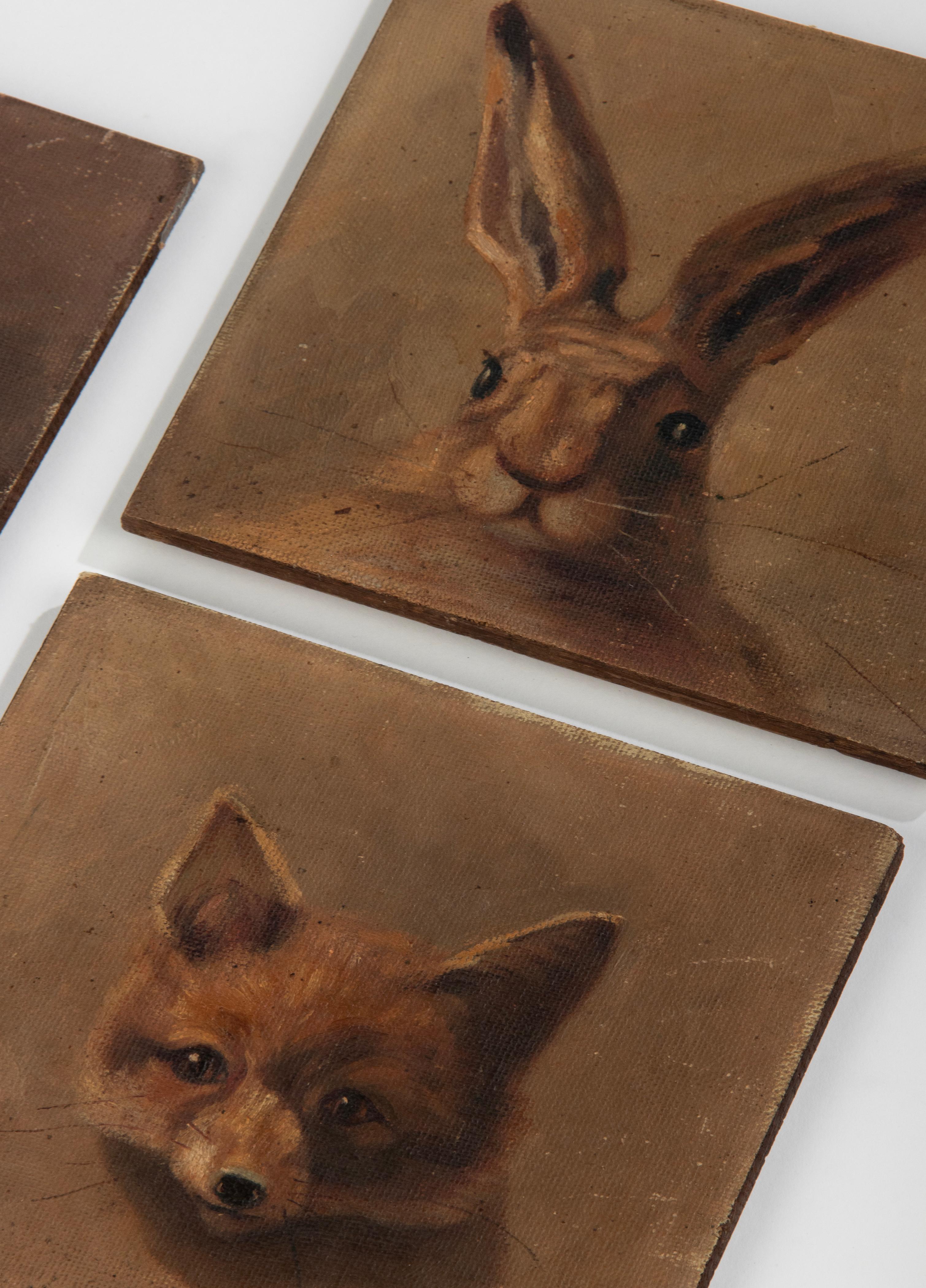 Early 20th Century Portrait Oil Paintings of Hare and Foxes For Sale 5