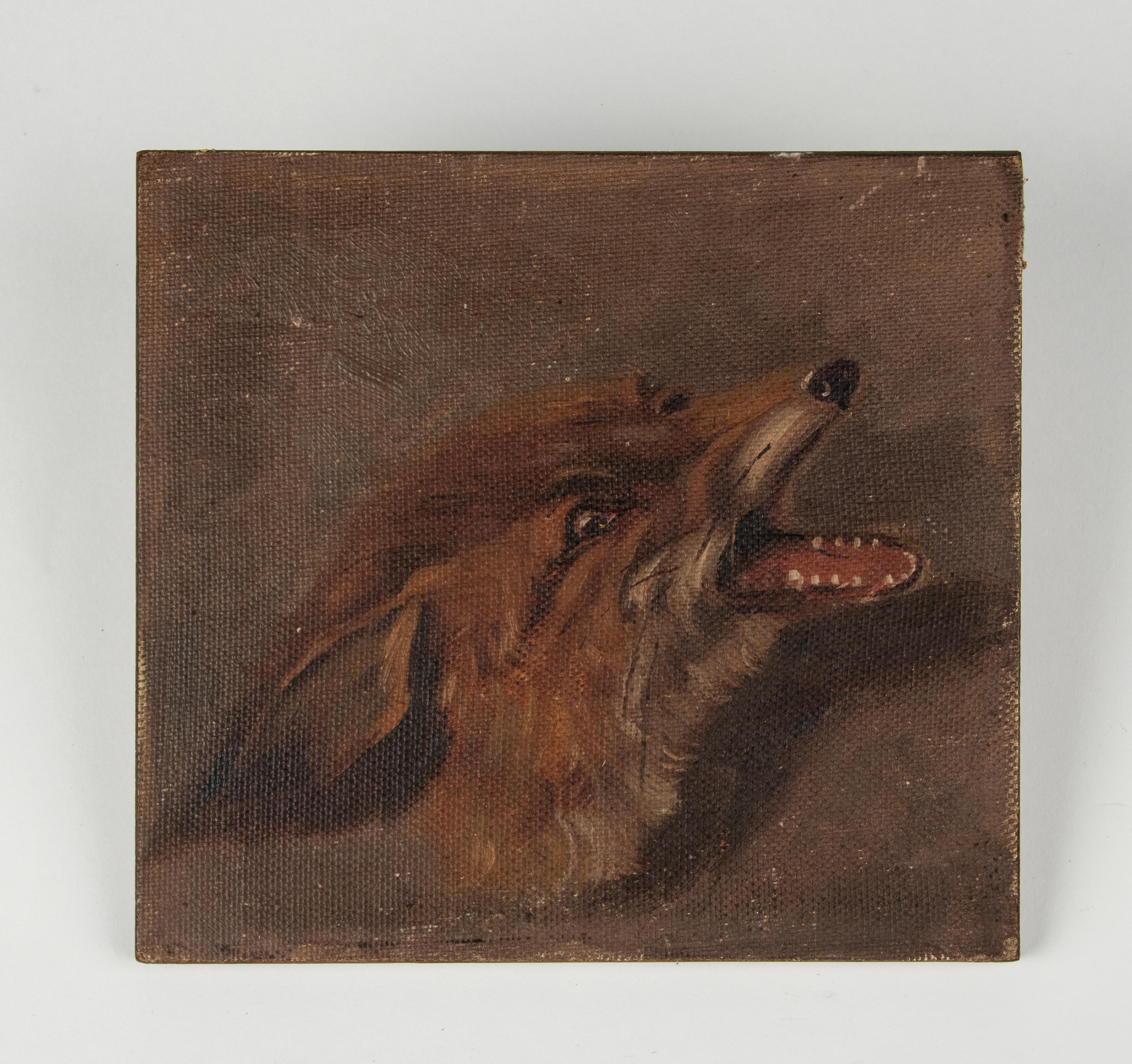 Early 20th Century Portrait Oil Paintings of Hare and Foxes For Sale 6