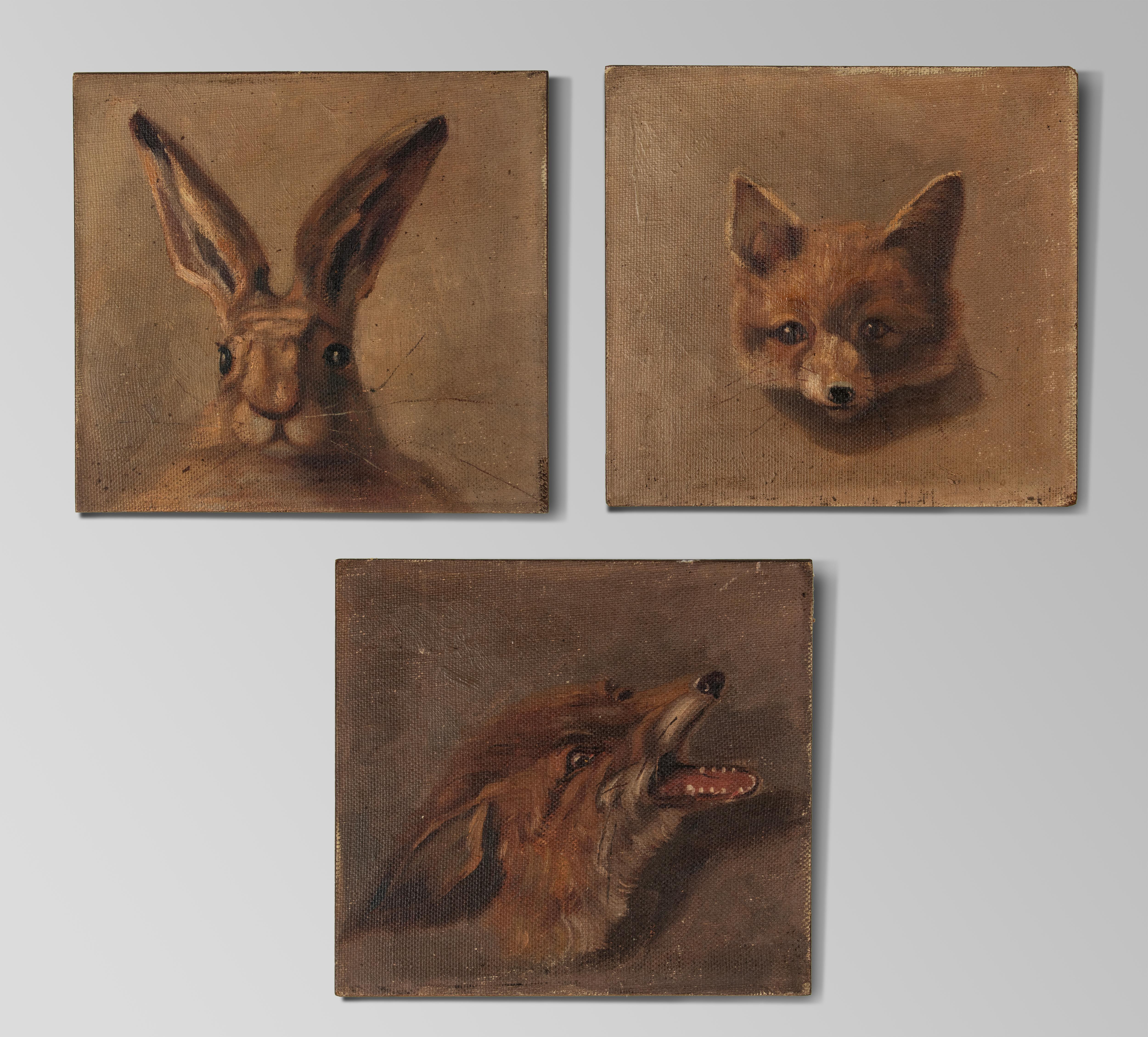 A set of three oil paintings. Portrait of a hare, fox and a young fox. Painted on canvas, later the canvas was placed on an oak panel. The paintings are not signed, probably these where studies of the artist. Probably made in. Belgium around