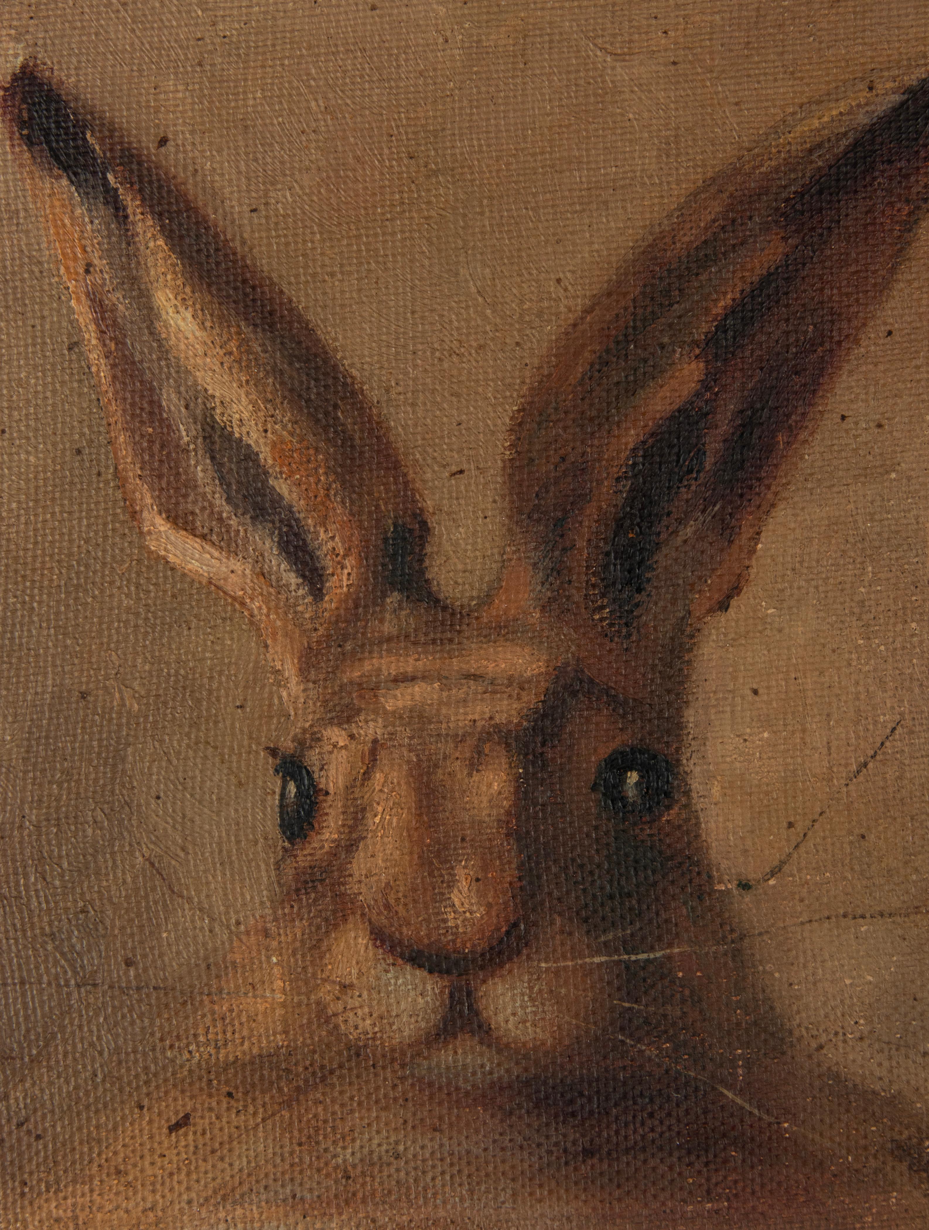 Belgian Early 20th Century Portrait Oil Paintings of Hare and Foxes