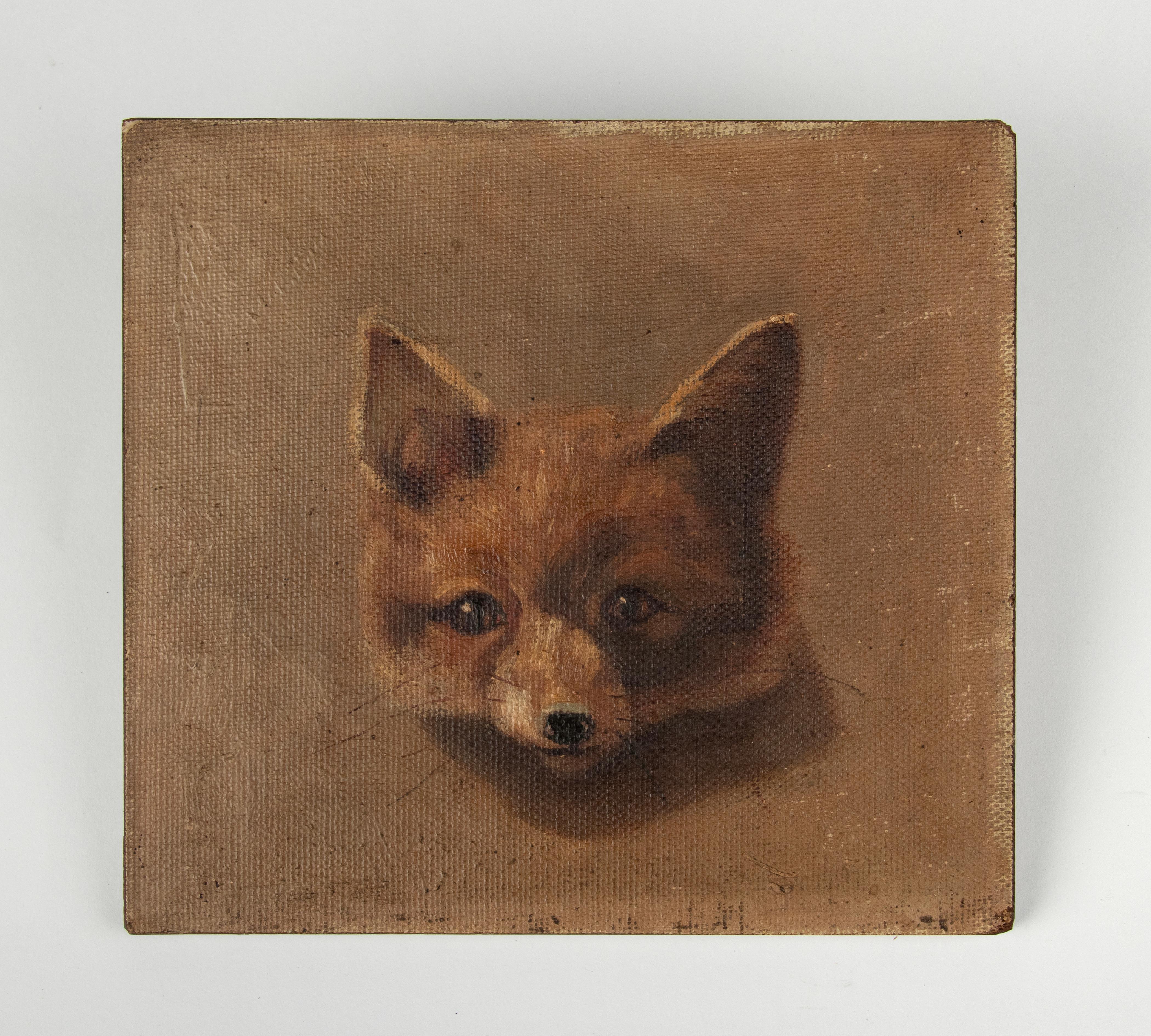 Early 20th Century Portrait Oil Paintings of Hare and Foxes In Good Condition For Sale In Casteren, Noord-Brabant