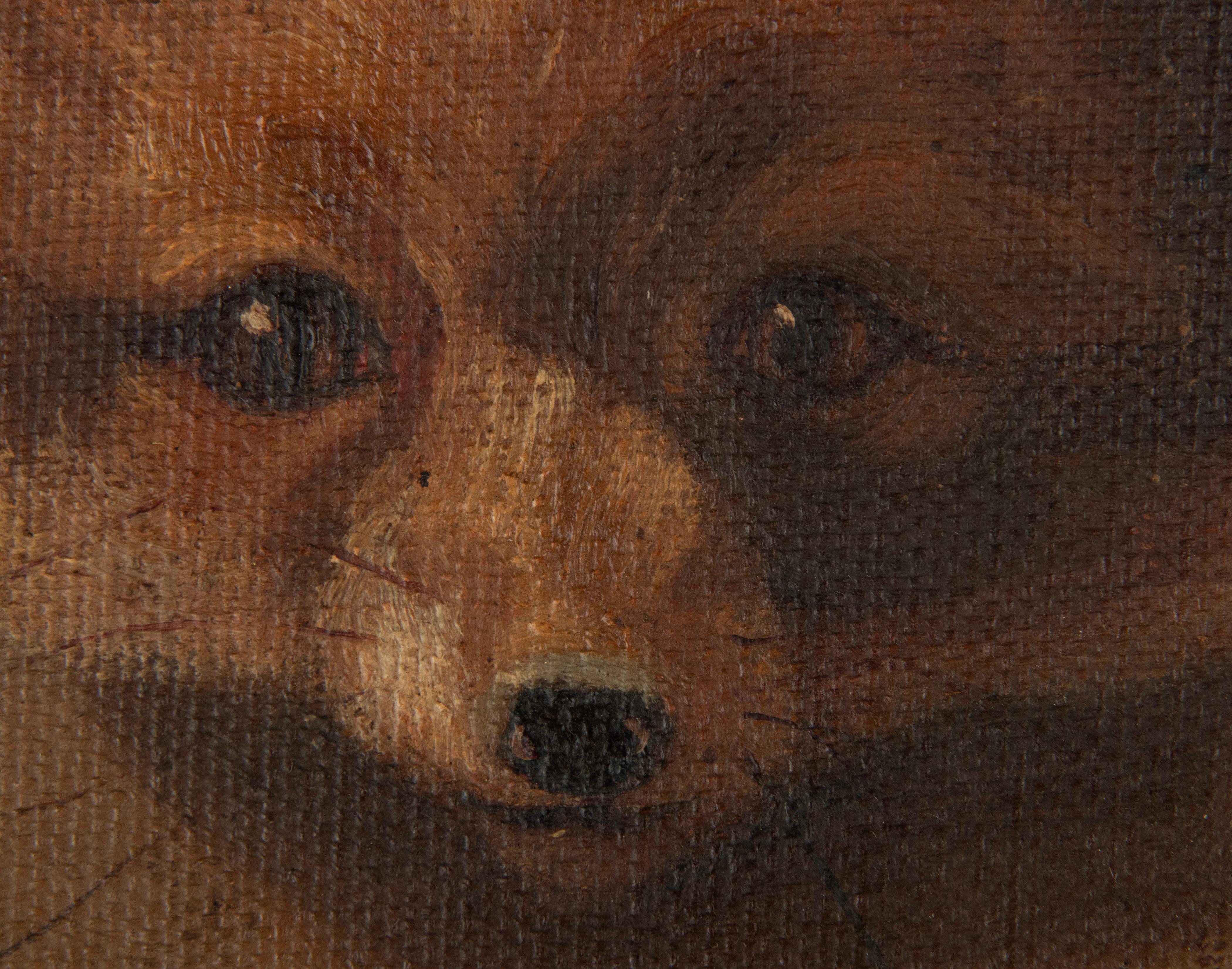 20ième siècle Peintures à l'huile du début du XXe siècle - Portraits de renard et de renard en vente