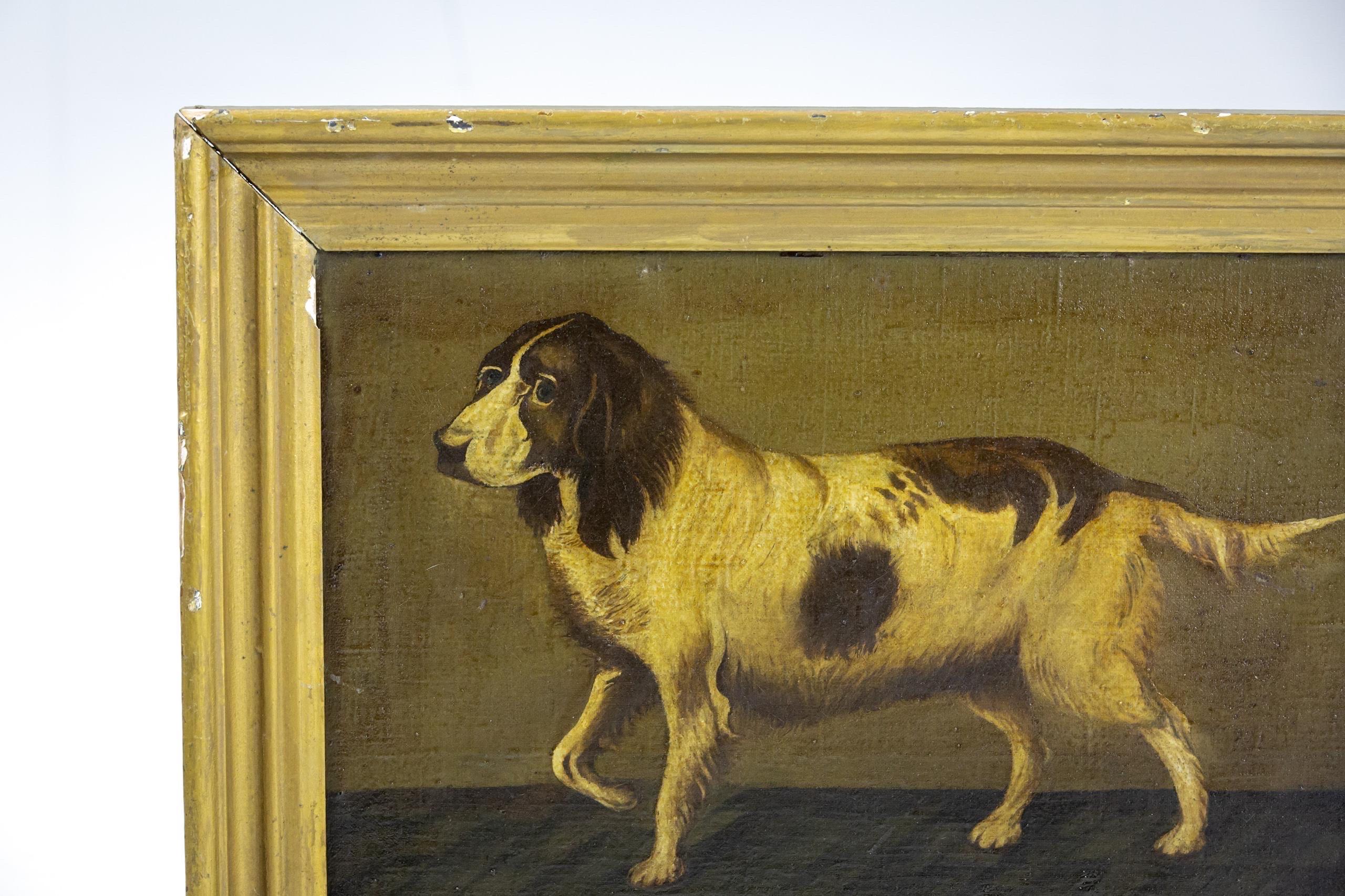 Huile primitive sur toile Springer Spaniel en foie et blanc. merveilleusement posé 