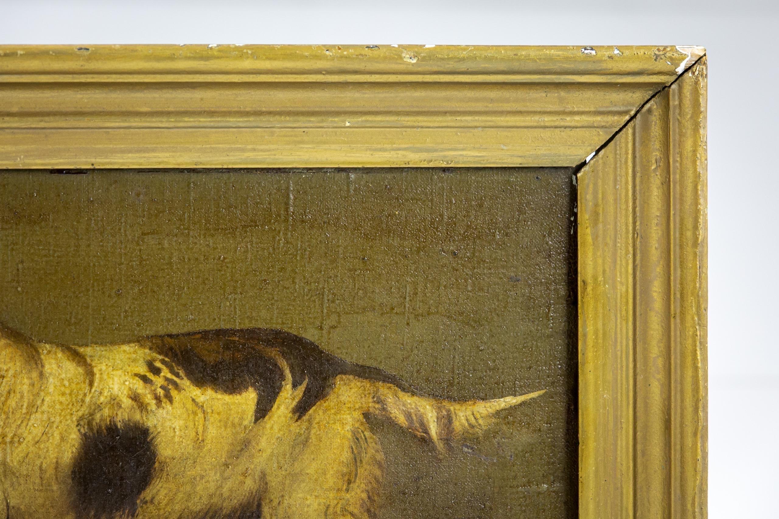 Huile sur toile primitive du début du 20e siècle représentant un épagneul Abîmé - En vente à Pease pottage, West Sussex