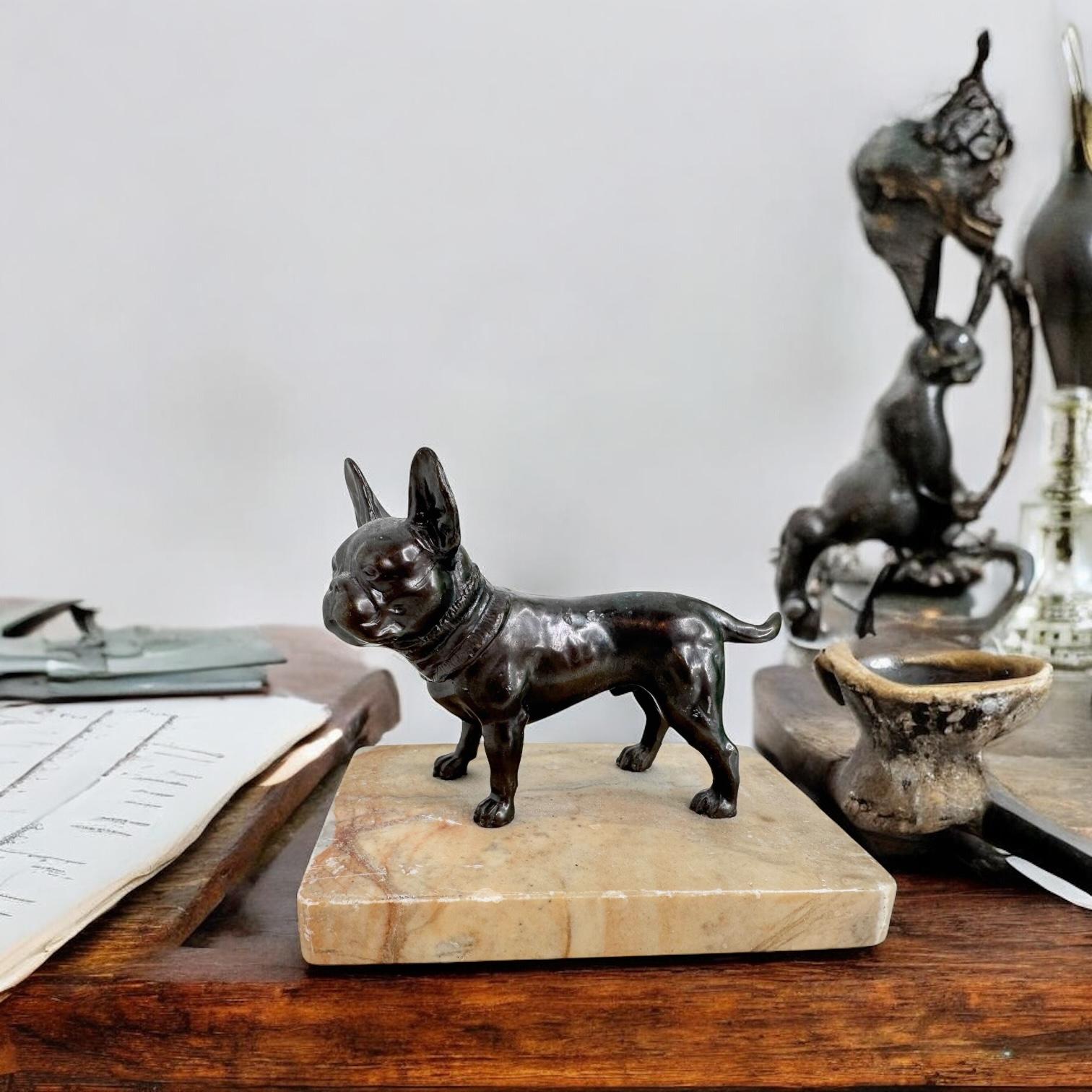 Cane carlino dei primi del Novecento Statua in miniatura austriaca 1910s Austria in vendita 7