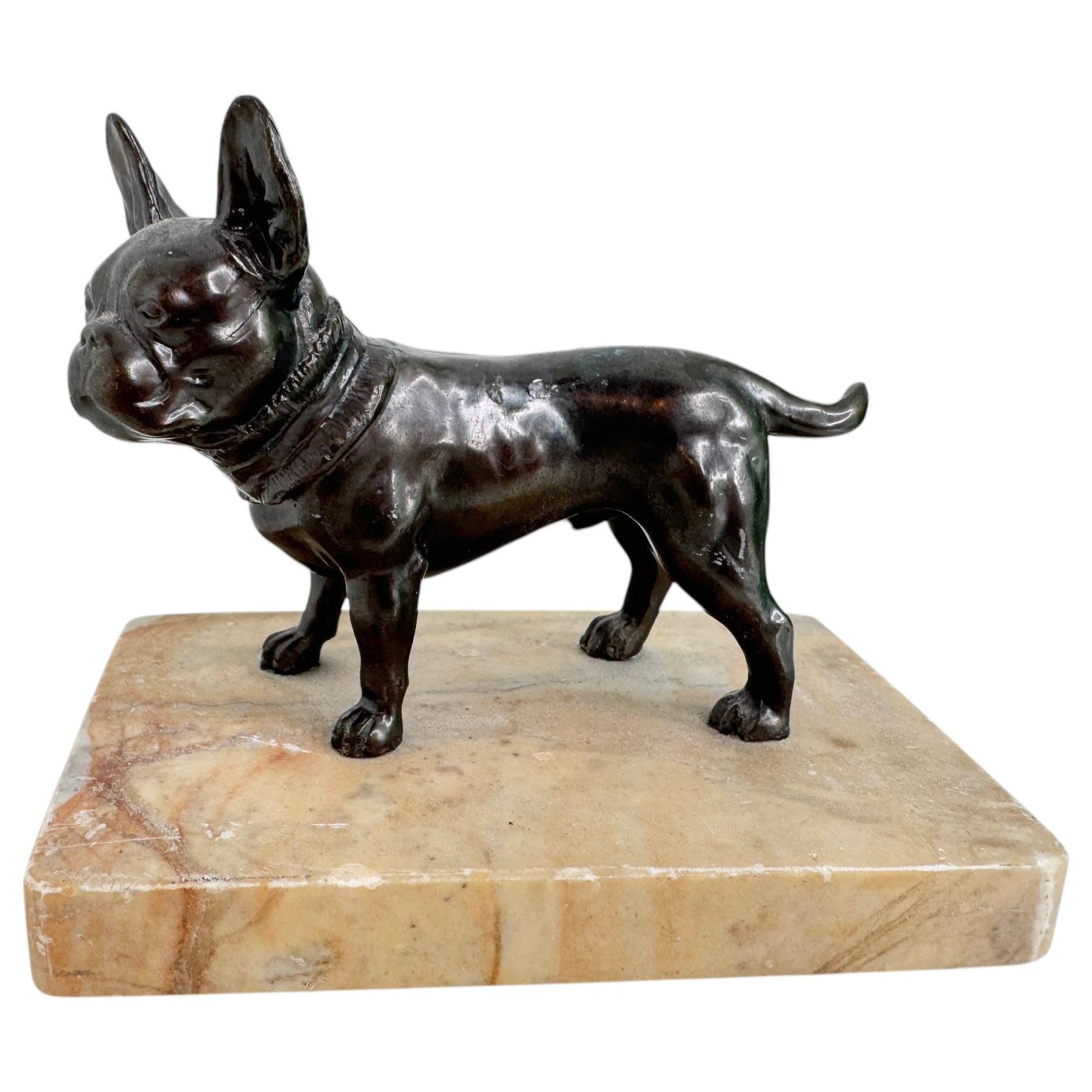 Inizio XX secolo Cane carlino dei primi del Novecento Statua in miniatura austriaca 1910s Austria in vendita
