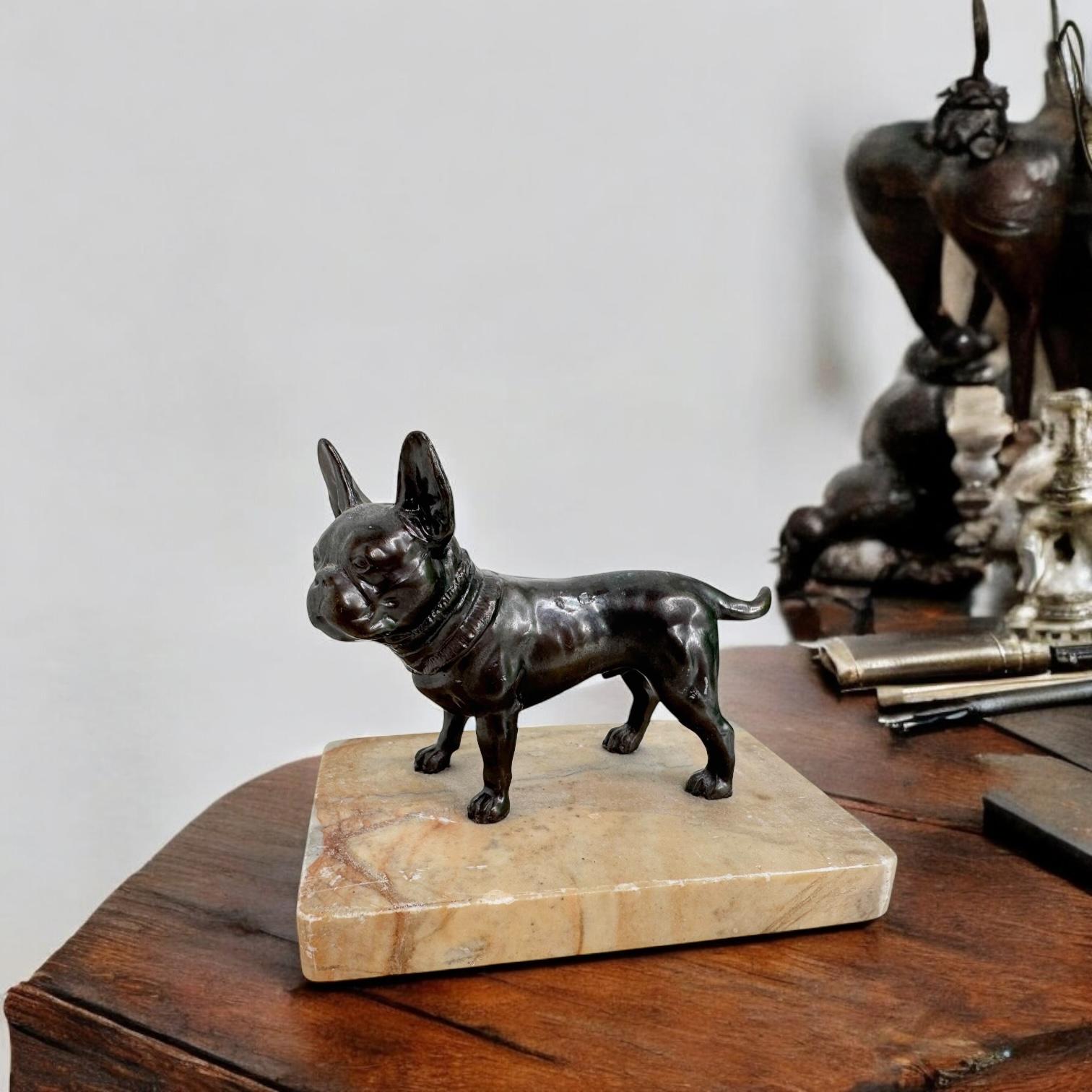 Cane carlino dei primi del Novecento Statua in miniatura austriaca 1910s Austria in vendita 2