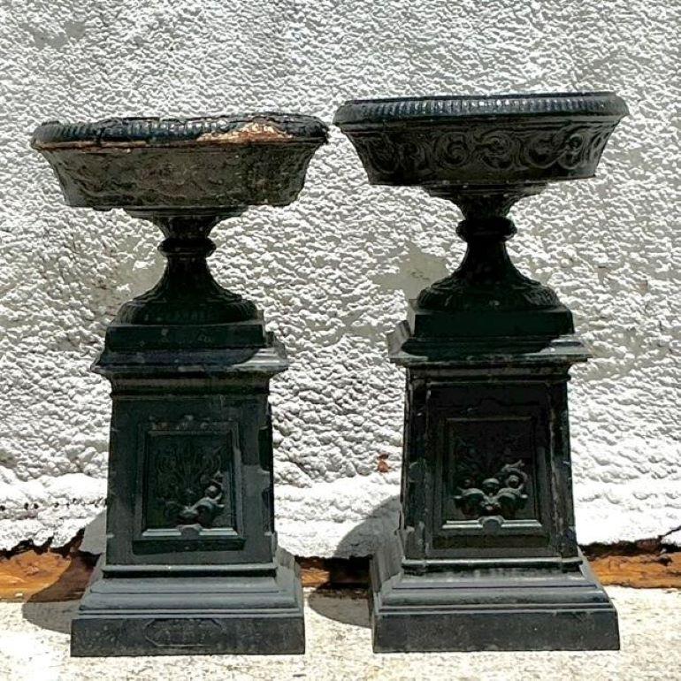 Eleva il tuo arredamento con questa straordinaria coppia di urne vintage Regency in ferro battuto patinato. Con le loro curve eleganti e la loro patina invecchiata, queste urne incarnano una raffinatezza senza tempo con un pizzico di fascino