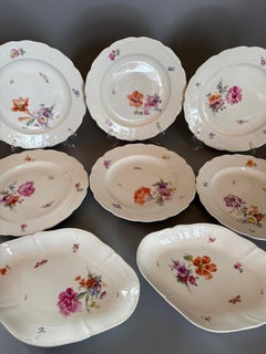 Early 20th Century Rococo KPM Berlin Dinner Set Flowers Butterflies