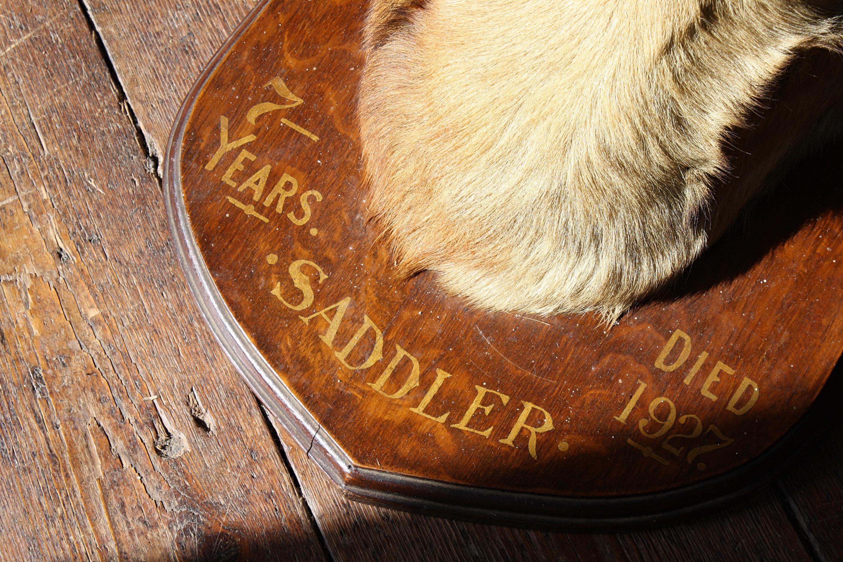 Natural Fiber Early 20th Century 