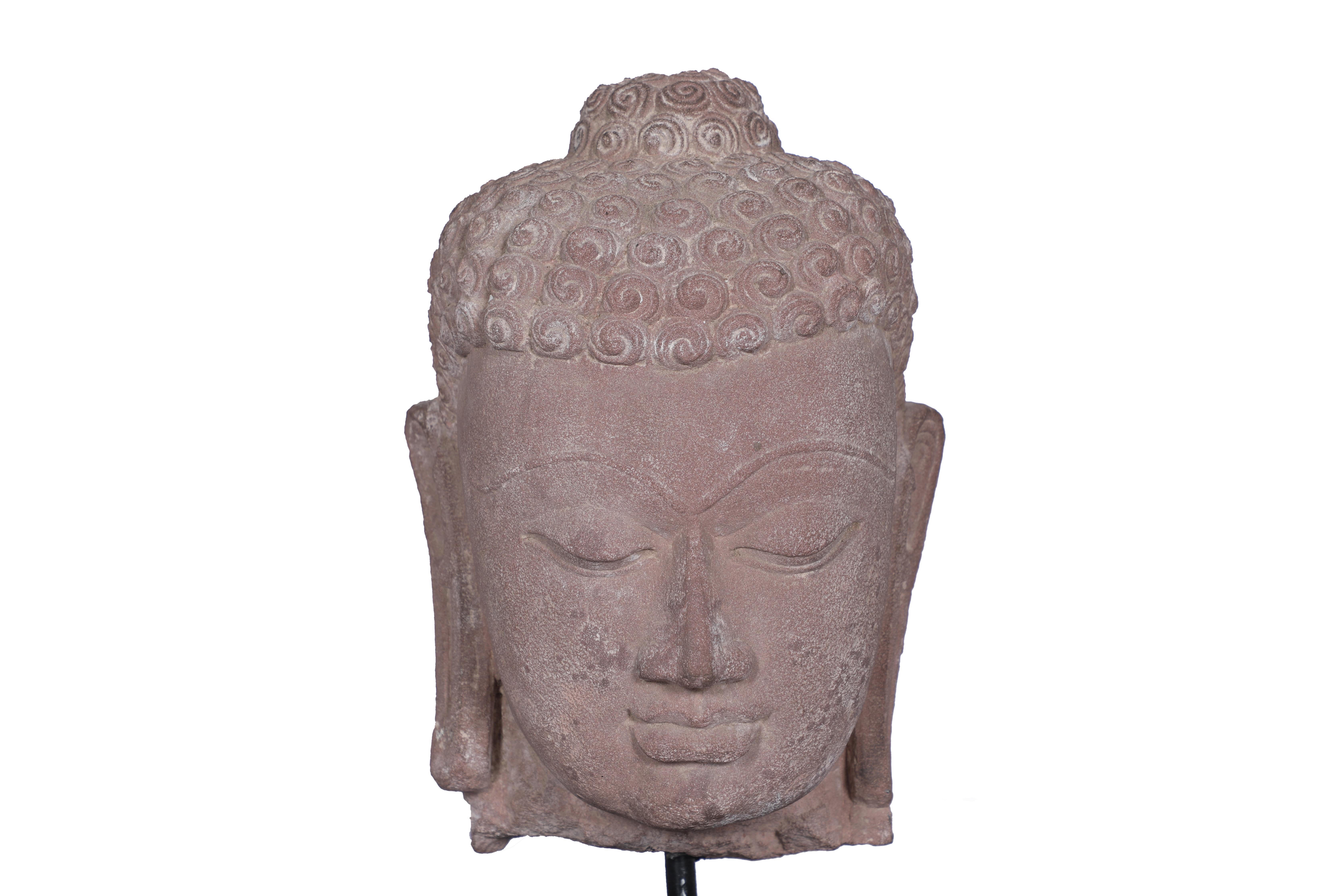 A lovely sandstone Buddha head on wooden base, early 1900's, Utttar Pradesh, Northern India. The hand-carved features include the typical snail-shell curled hair, elongated ears, half-closed eyes and serene smile. The Ushnisha crown depicts the