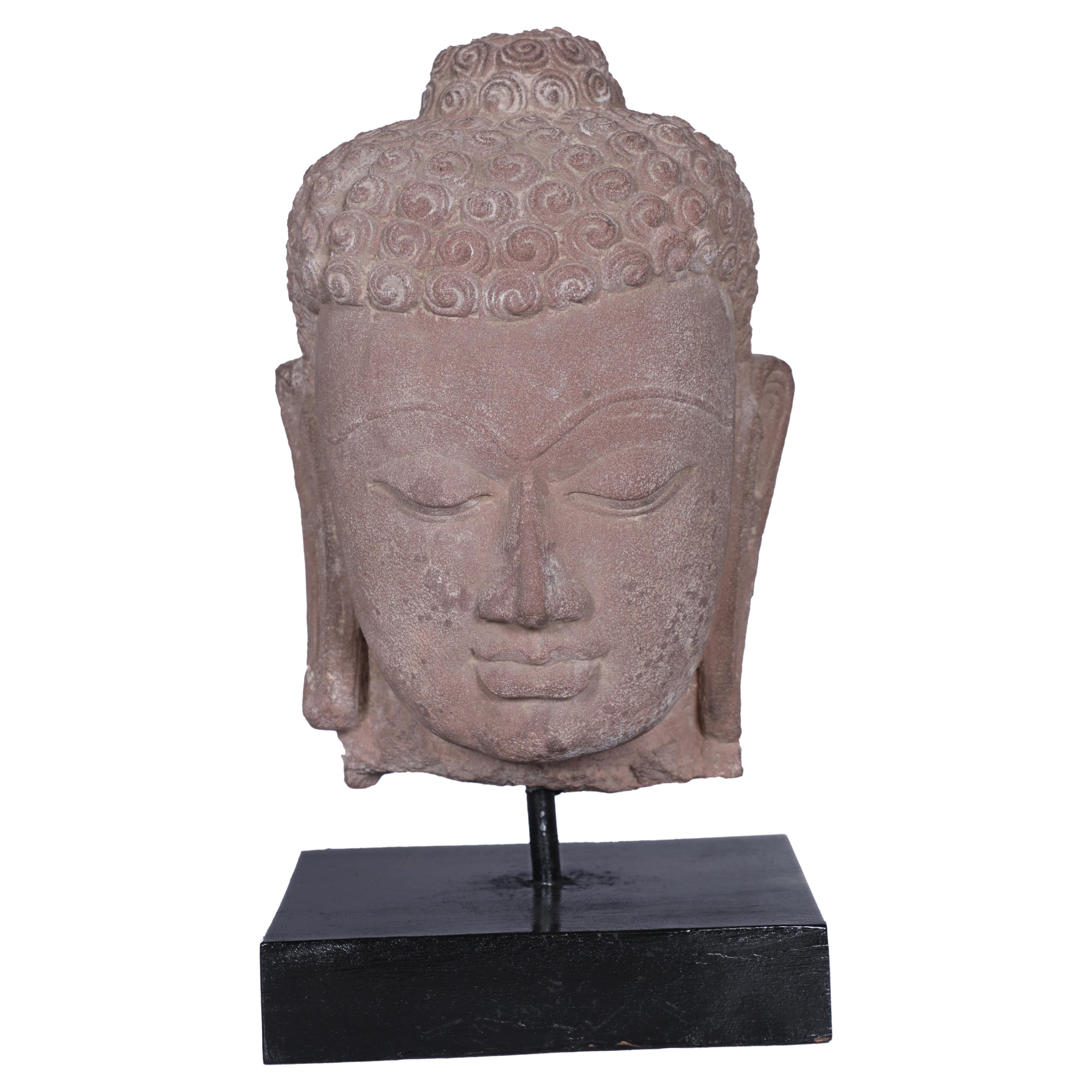 Buddha-Kopf aus Sandstein des frühen 20. Jahrhunderts, Nordindien