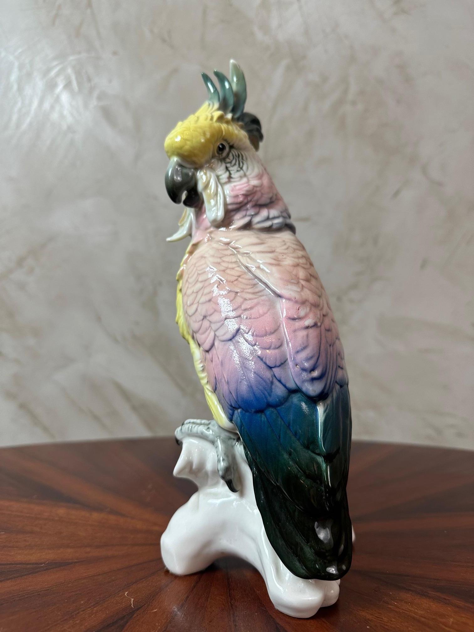 Figura di cacatua in porcellana di Saxe dei primi del Novecento di Karl Ens, 1900 In condizioni buone in vendita a LEGNY, FR