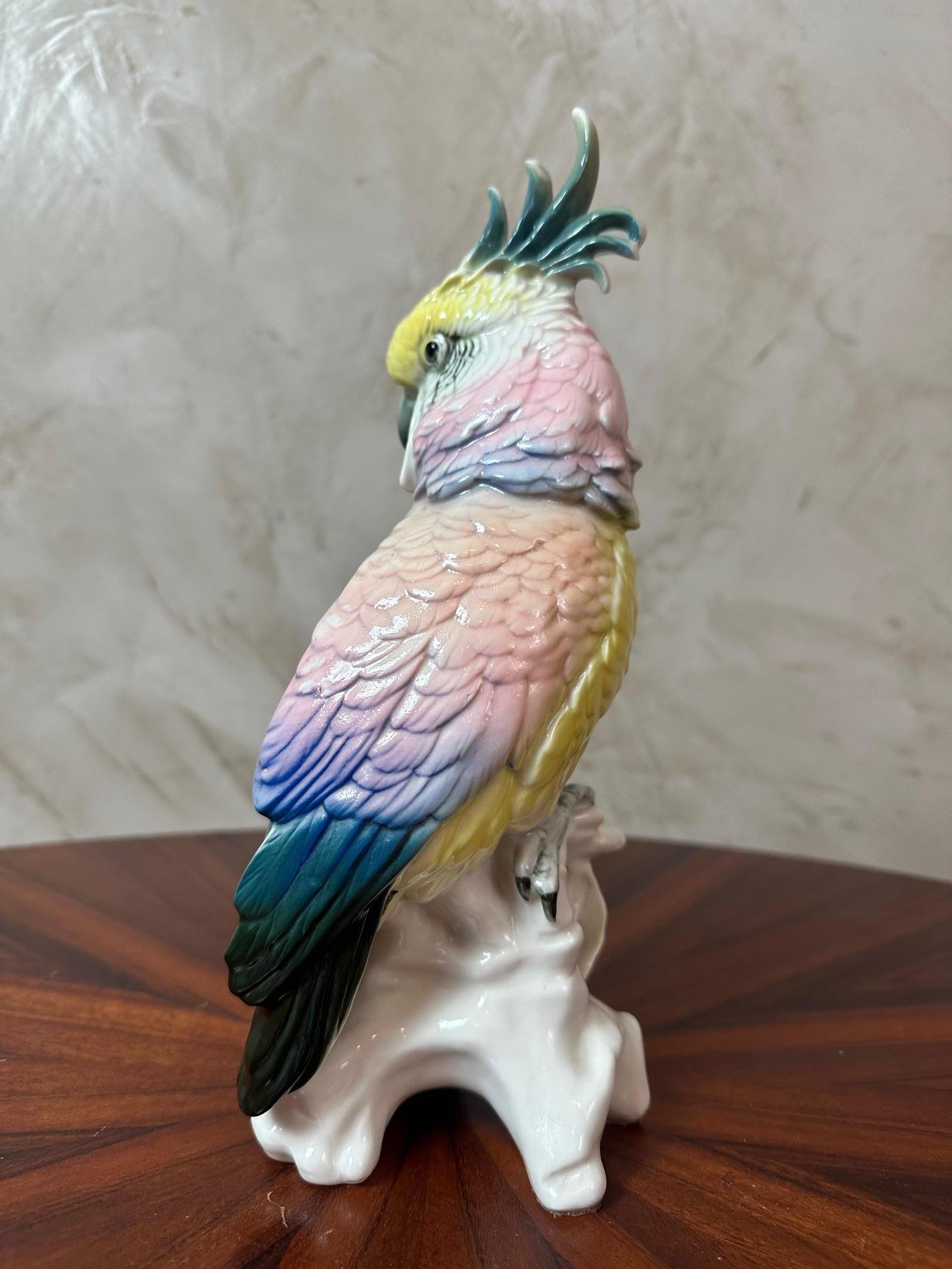 Inizio XX secolo Figura di cacatua in porcellana di Saxe dei primi del Novecento di Karl Ens, 1900 in vendita