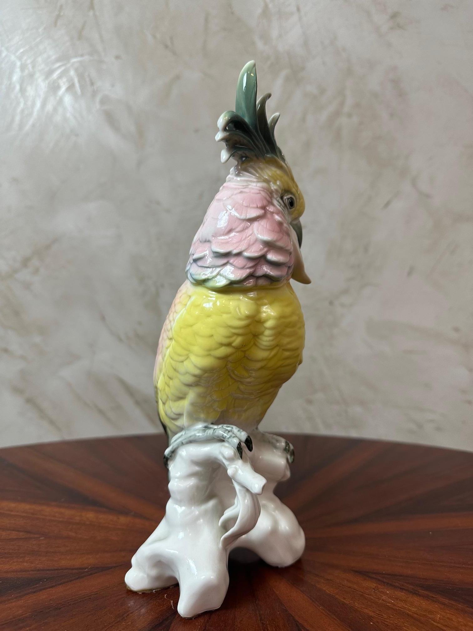 Porcellana Figura di cacatua in porcellana di Saxe dei primi del Novecento di Karl Ens, 1900 in vendita