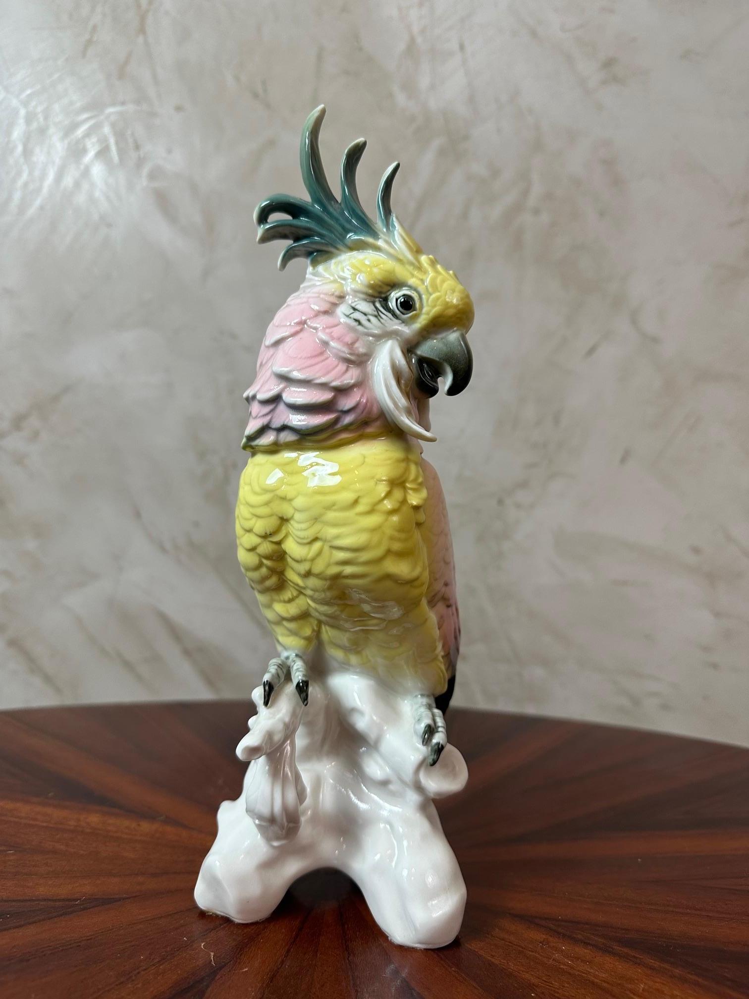 Figura di cacatua in porcellana di Saxe dei primi del Novecento di Karl Ens, 1900 in vendita 1