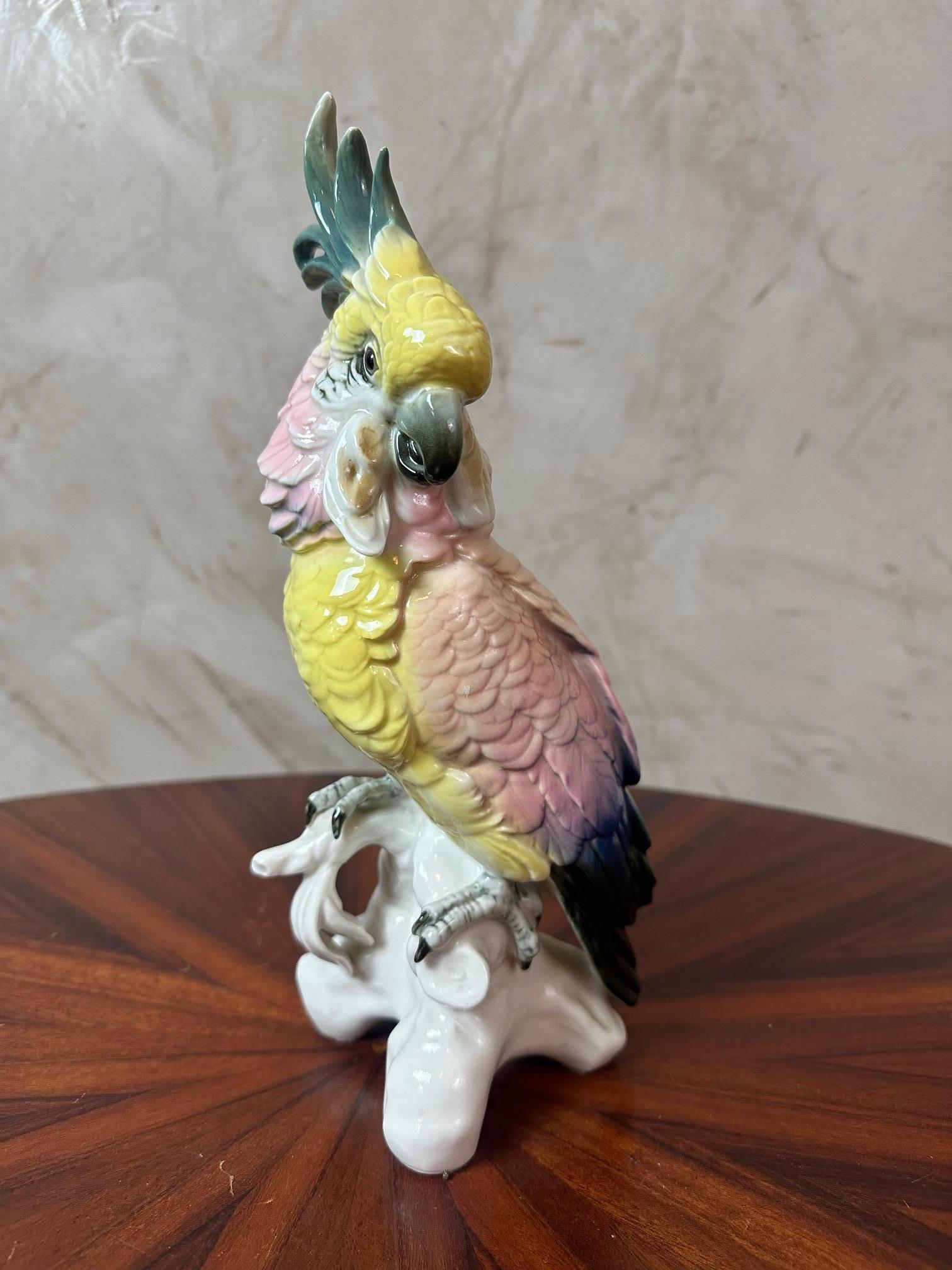 Figura di cacatua in porcellana di Saxe dei primi del Novecento di Karl Ens, 1900 in vendita 2