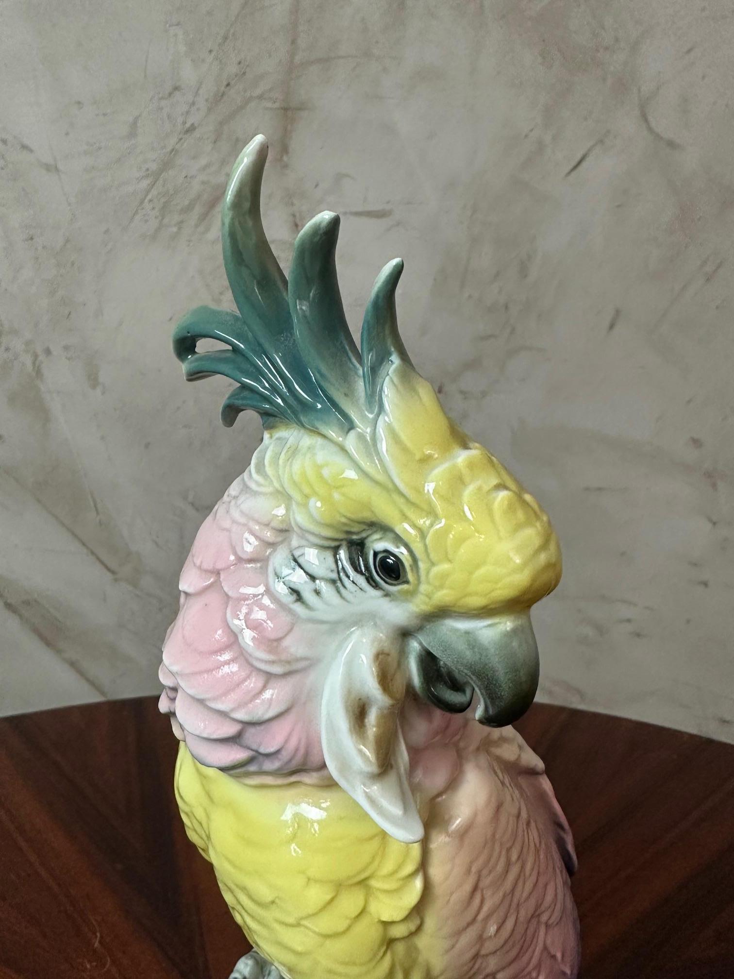 Figura di cacatua in porcellana di Saxe dei primi del Novecento di Karl Ens, 1900 in vendita 3