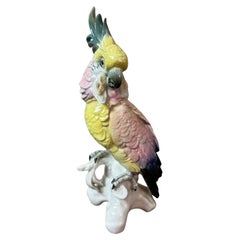 Saxe Porzellan-Kuckatoo-Figur des frühen 20. Jahrhunderts von Karl Ens, 1900er Jahre