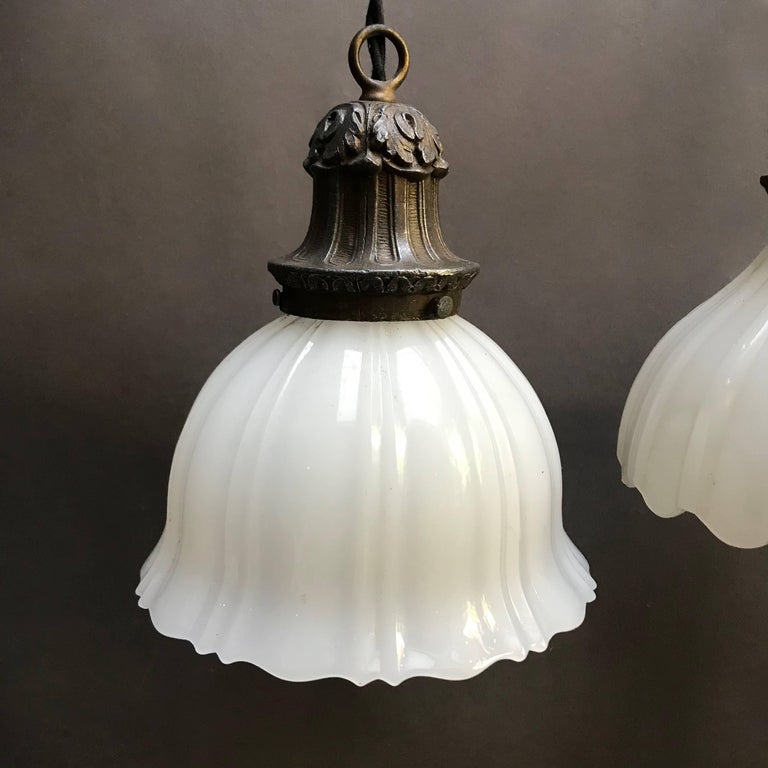 Early 20th Century Scalloped Milk Glass Pendant Lights at 1stDibs