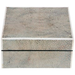 Early 20th Century Shagreen Box