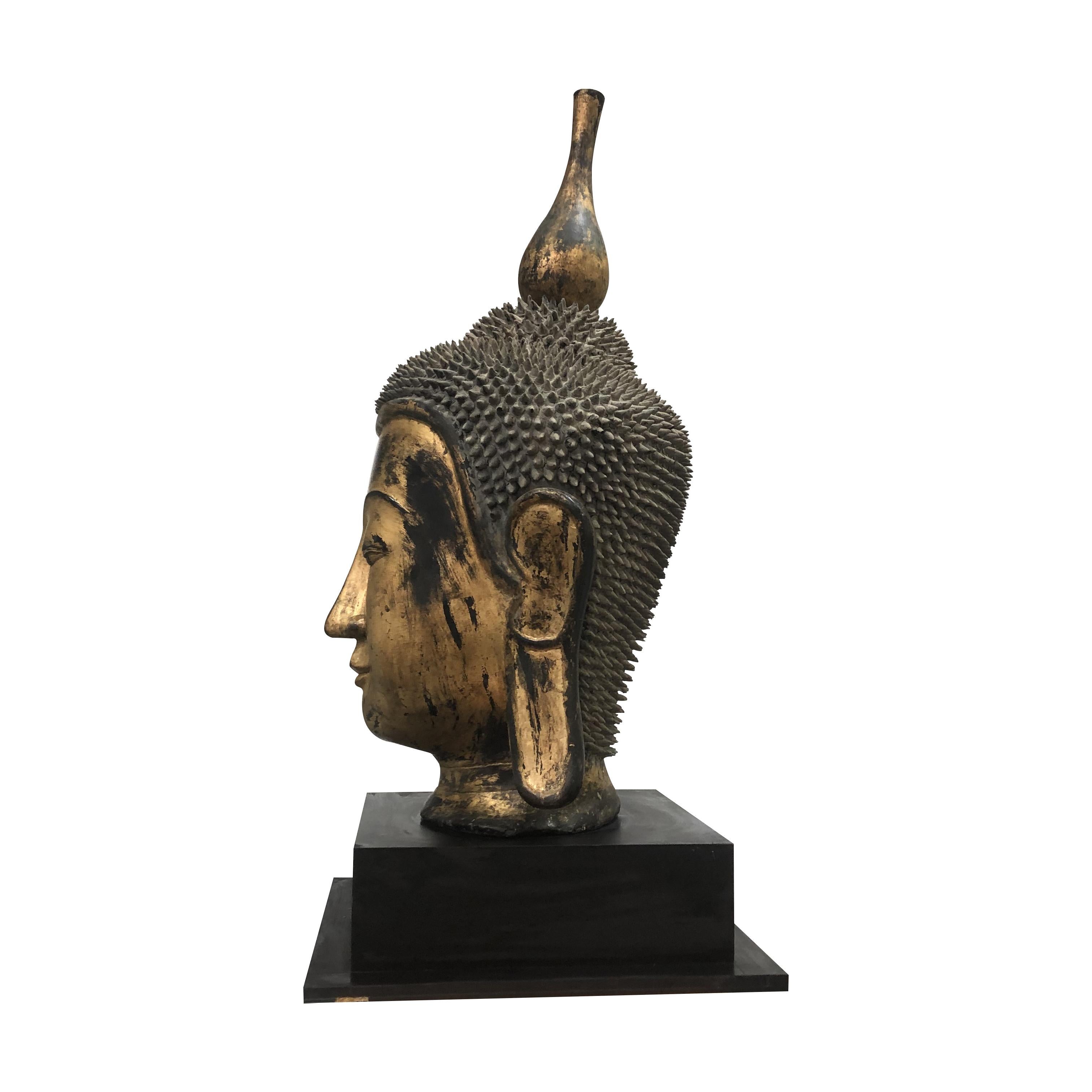 A stunning, highly decorative, monumental Shan Burmese dry lacquer gilt Buddha head sculpture on a wood stand, early 20th century. The Buddha's round face is framed by long pendulous earlobes. The sculpture is initially made of papier mâché and