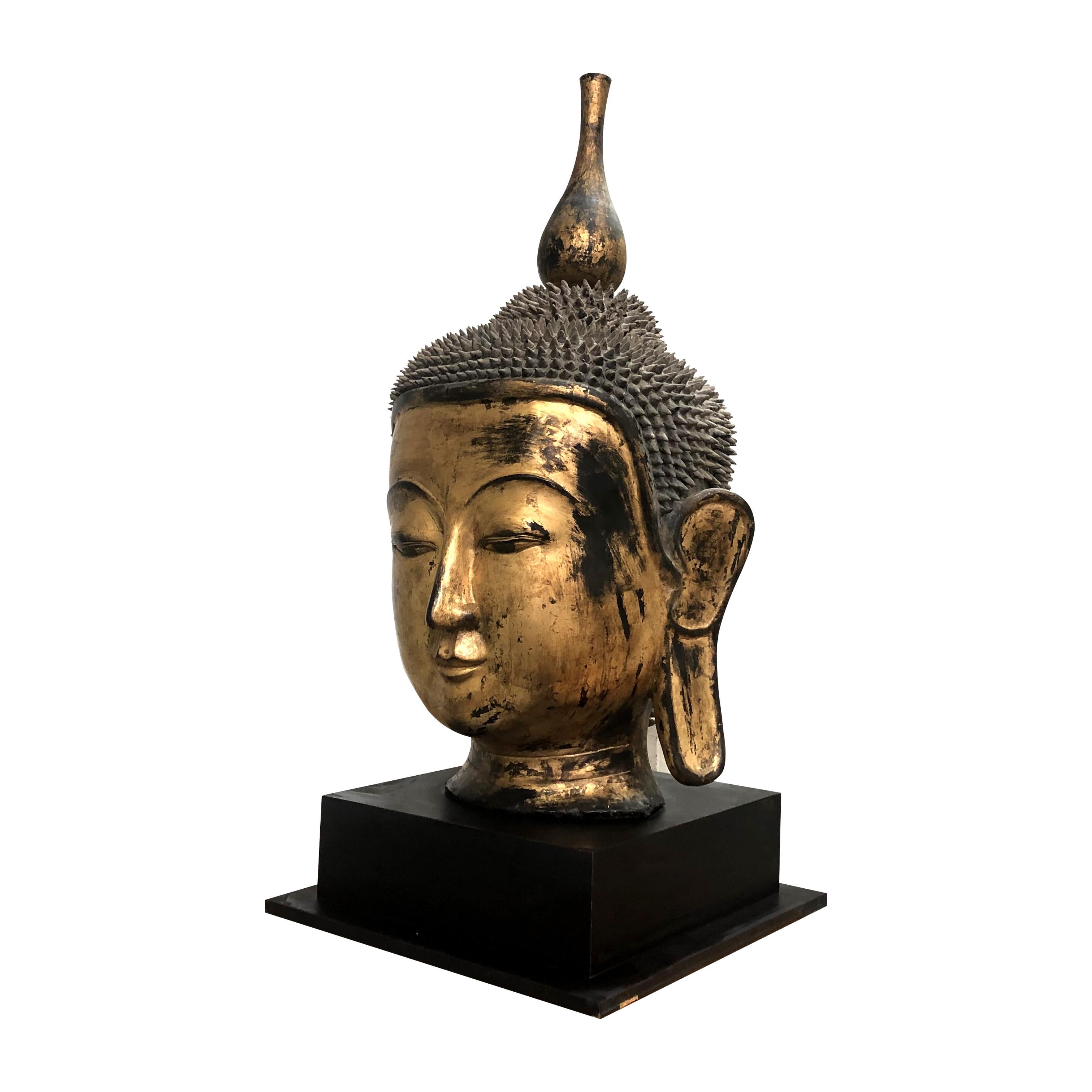 Other Early 20th Century Shan Burmese Large Dry Lacquer Gilt Buddha Head Sculpture