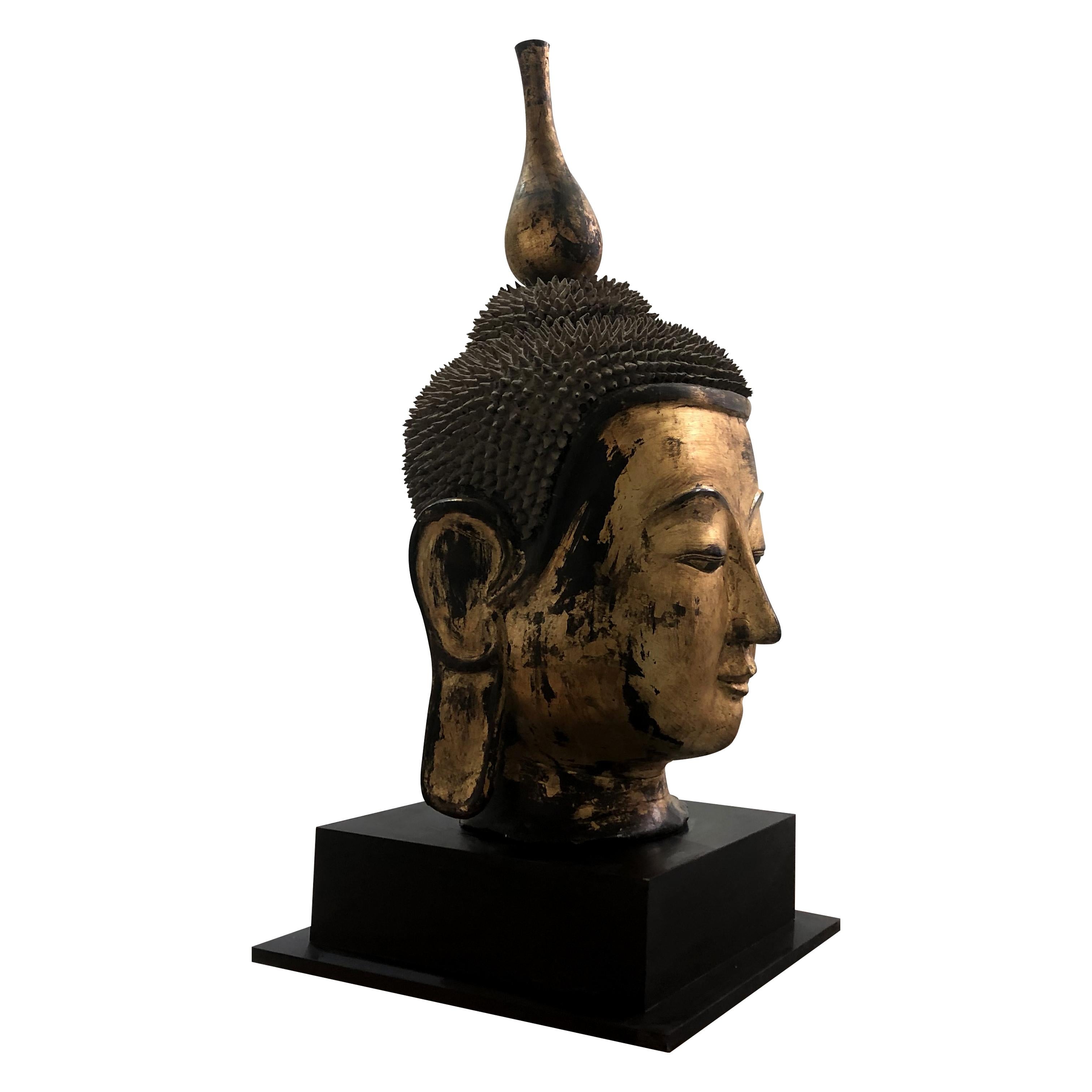 Southeast Asian Early 20th Century Shan Burmese Large Dry Lacquer Gilt Buddha Head Sculpture