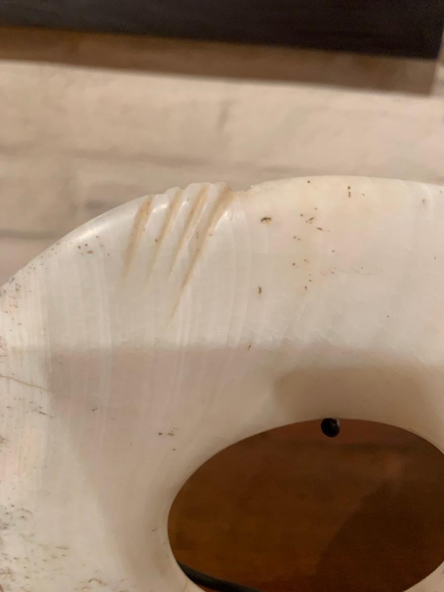 XX secolo Anello con conchiglia dei primi del Novecento in vendita