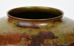 Early 20th Century, Showa, Japanese Bronze Vase