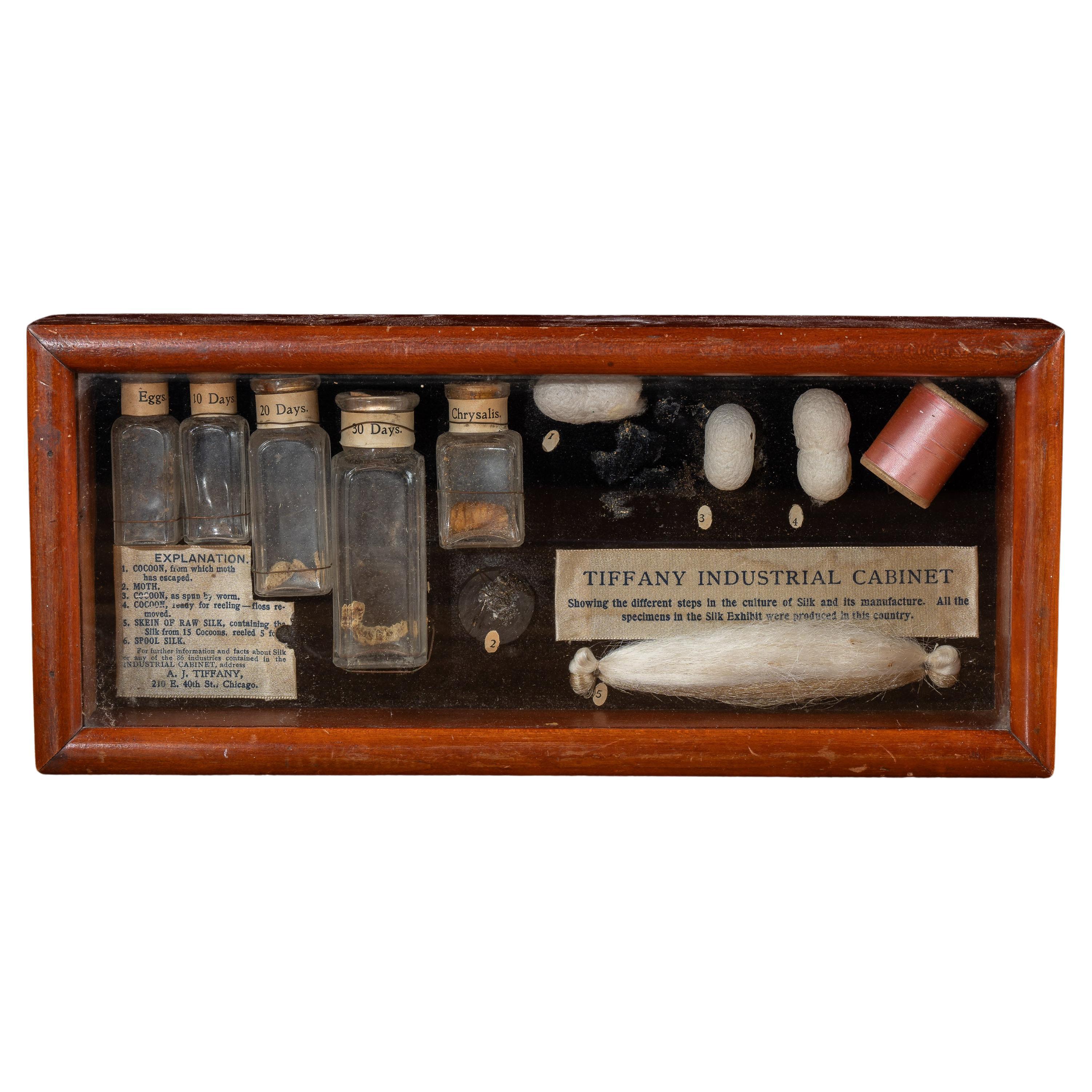 Early 20th Century Silkworm Industrial Nature Cabinet