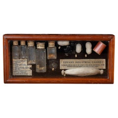 Early 20th Century Silkworm Industrial Nature Cabinet