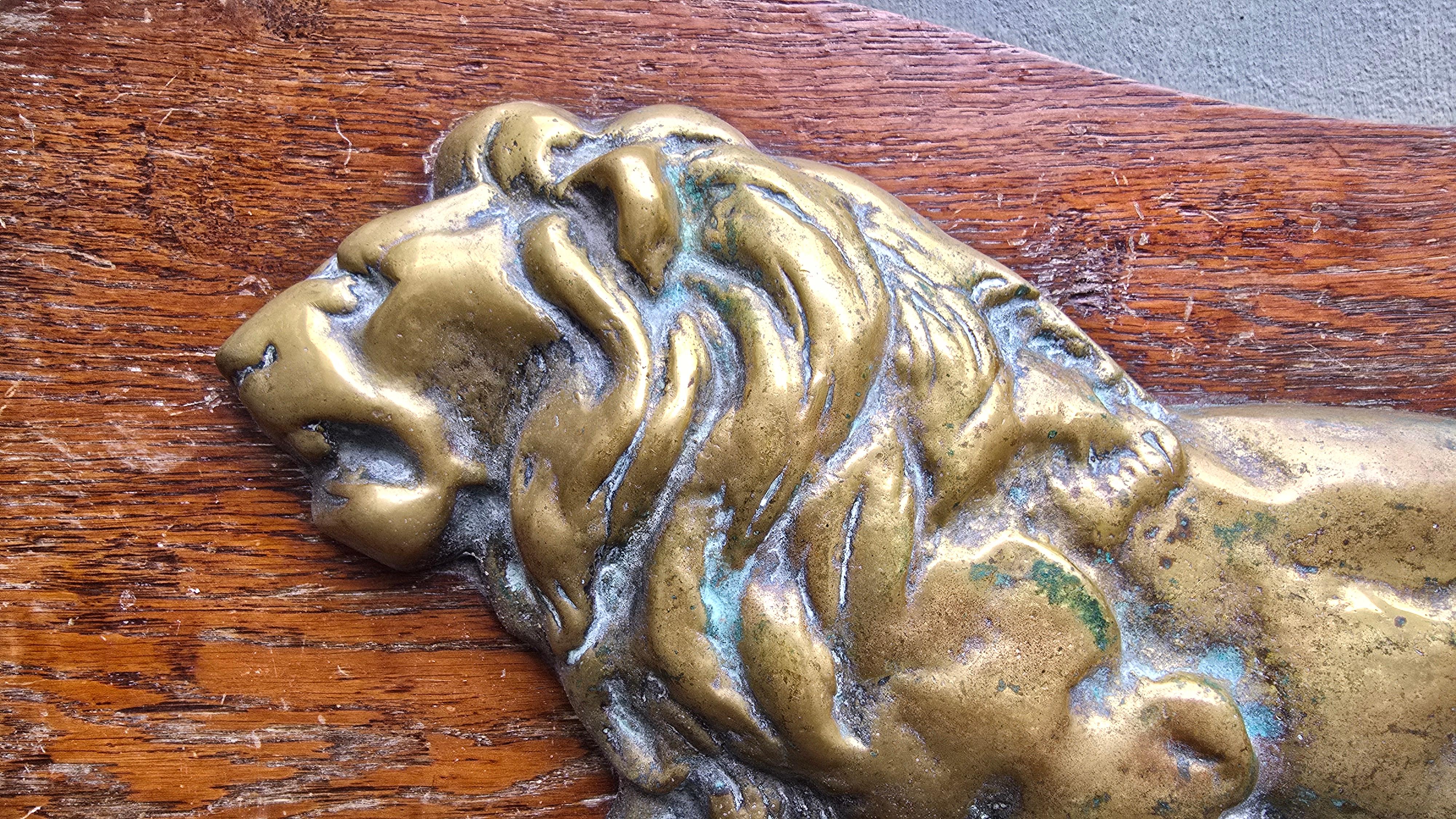 Art Nouveau Rilievo di leone in bronzo massiccio dei primi del Novecento su pannello di Oak, Europa, circa 1900 in vendita