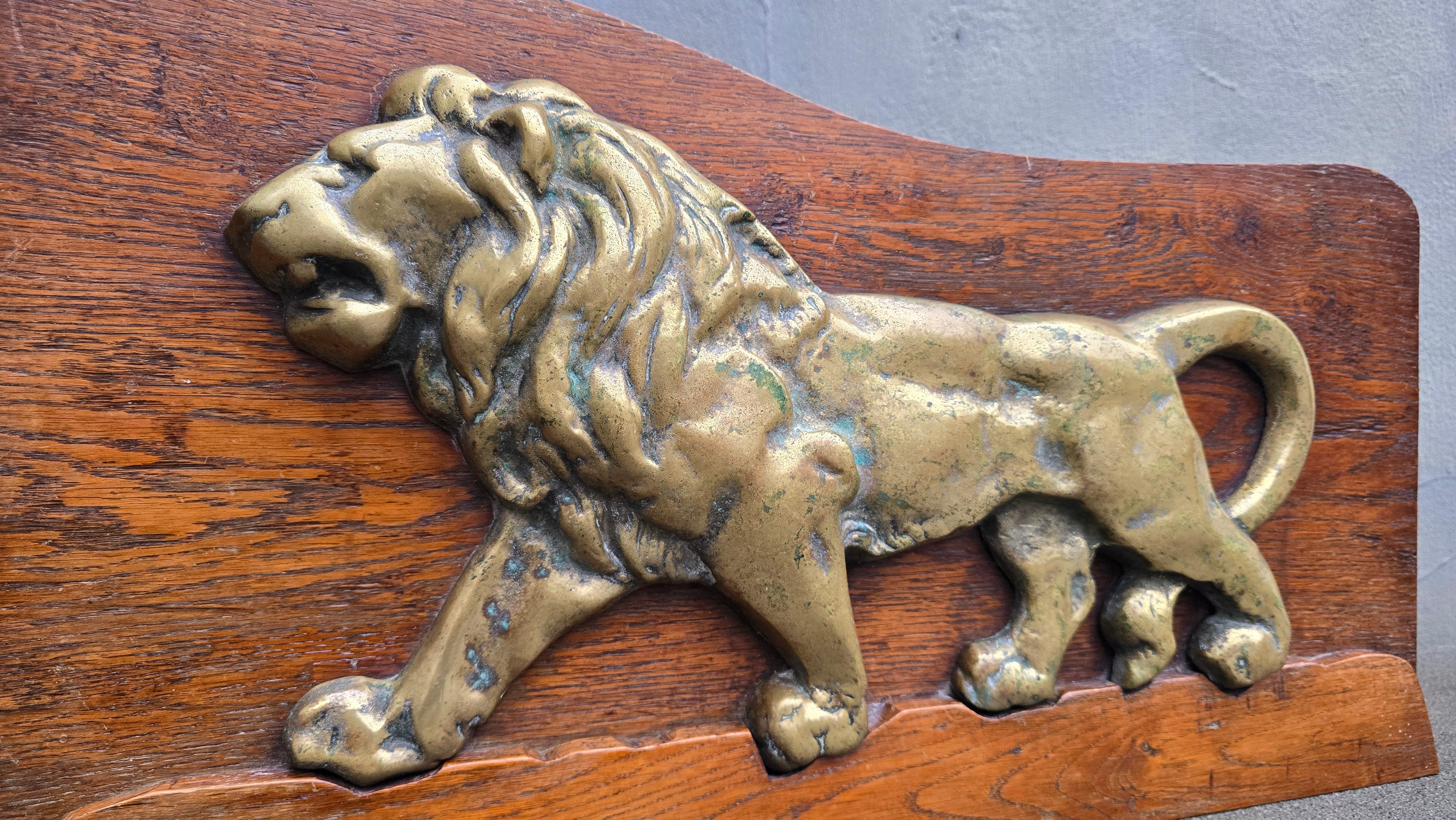 Rilievo di leone in bronzo massiccio dei primi del Novecento su pannello di Oak, Europa, circa 1900 In condizioni buone in vendita a Antwerp, BE