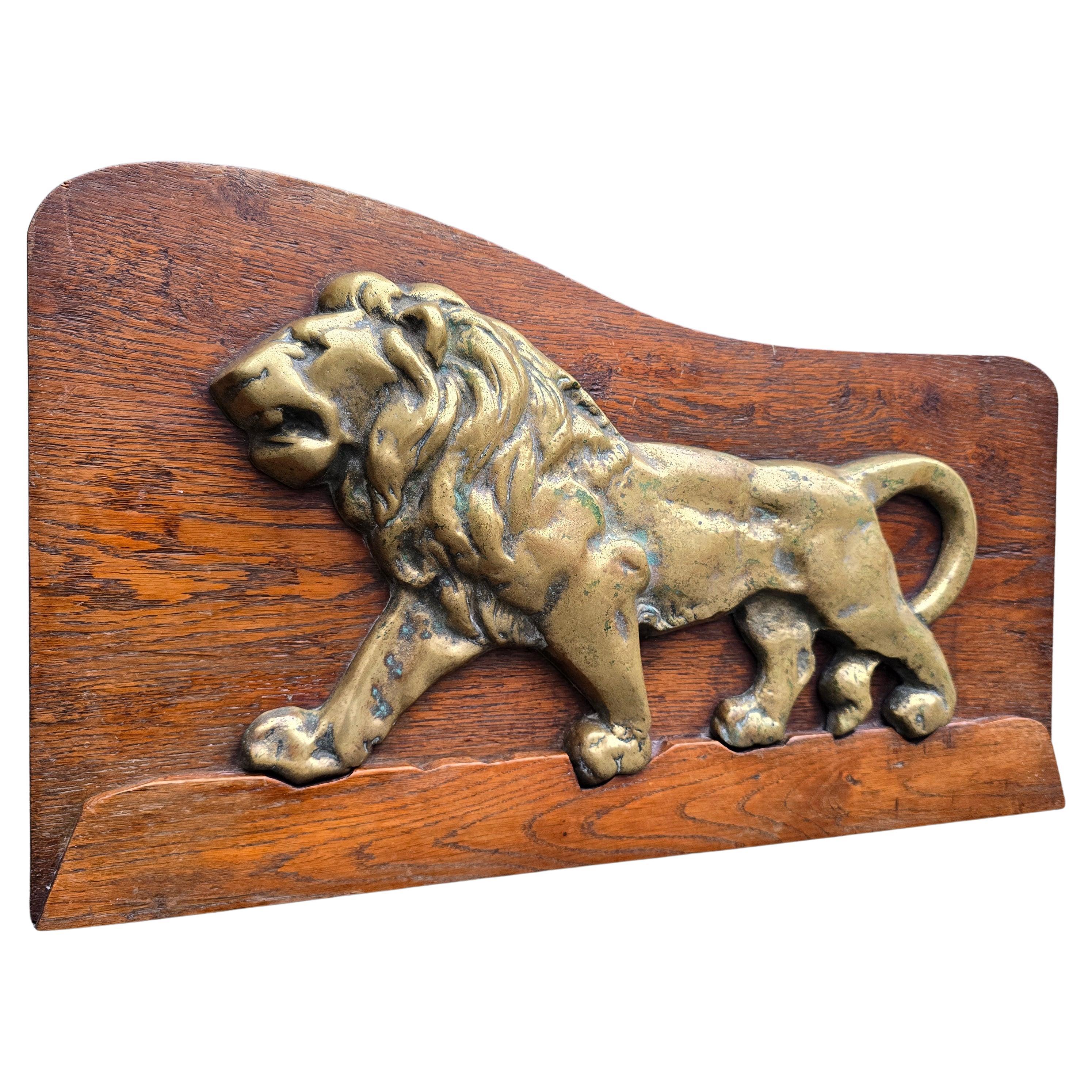 Rilievo di leone in bronzo massiccio dei primi del Novecento su pannello di Oak, Europa, circa 1900 in vendita