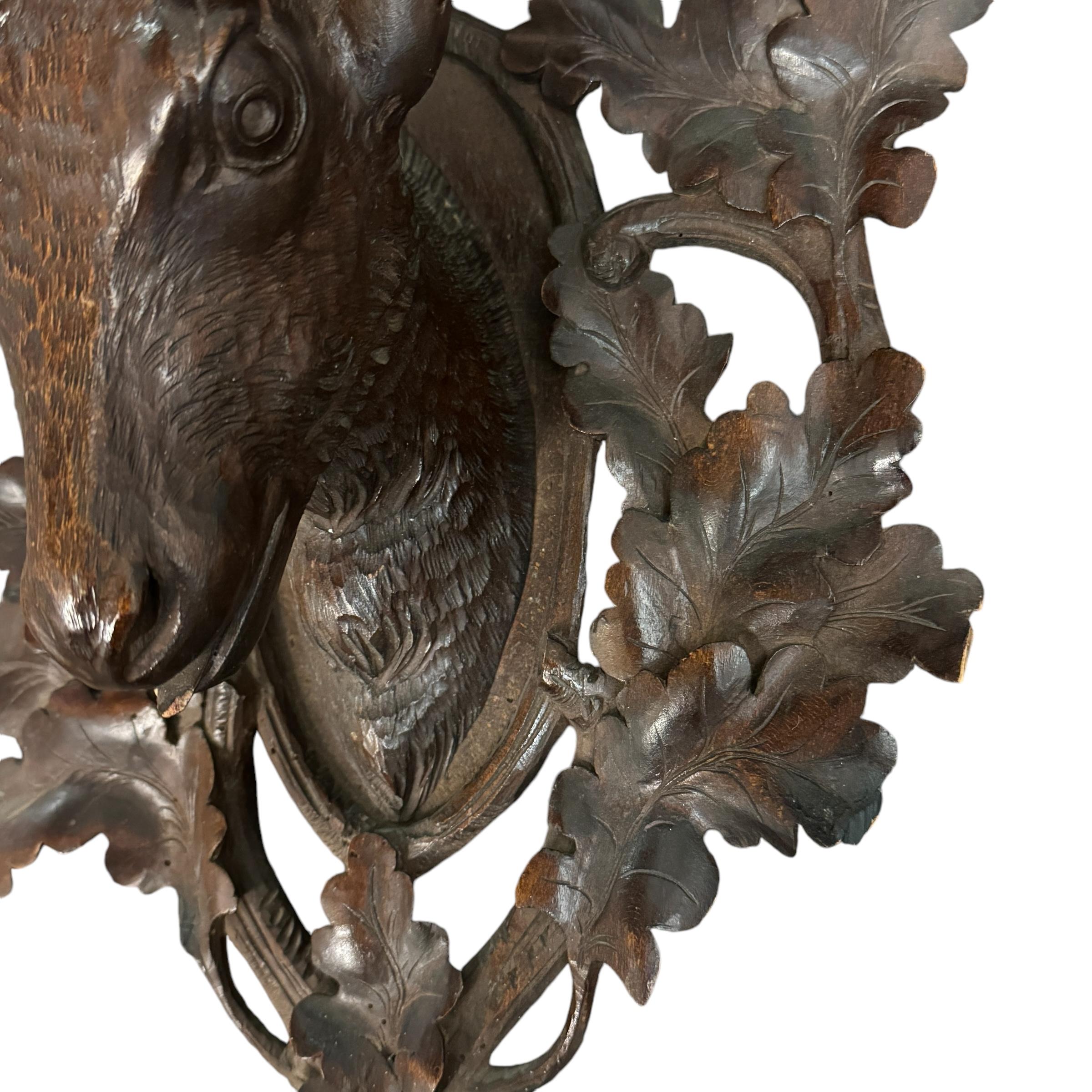 Early 20th Century Swiss Black Forest Chamois Wall Bracket 6