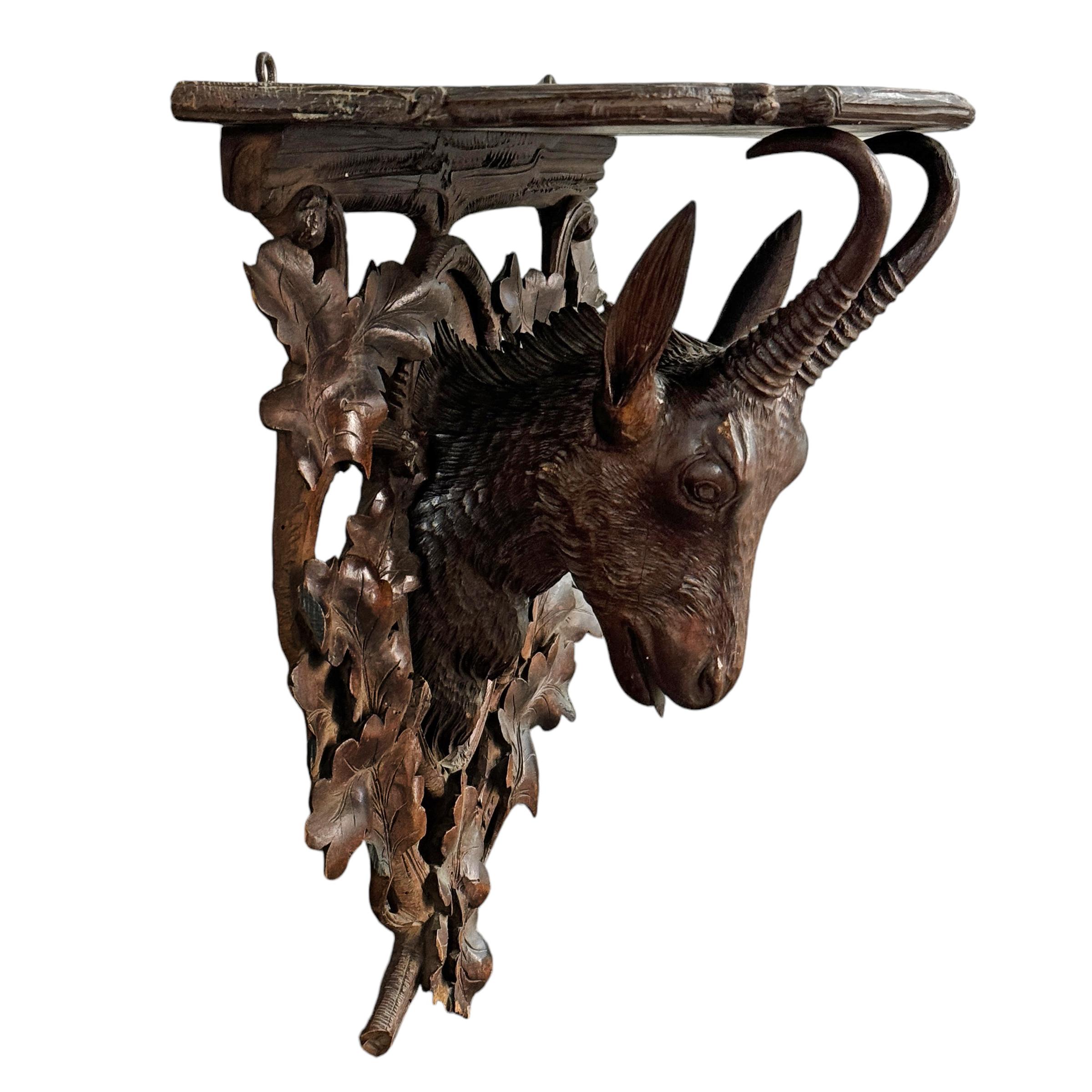 Early 20th Century Swiss Black Forest Chamois Wall Bracket In Good Condition In Chicago, IL