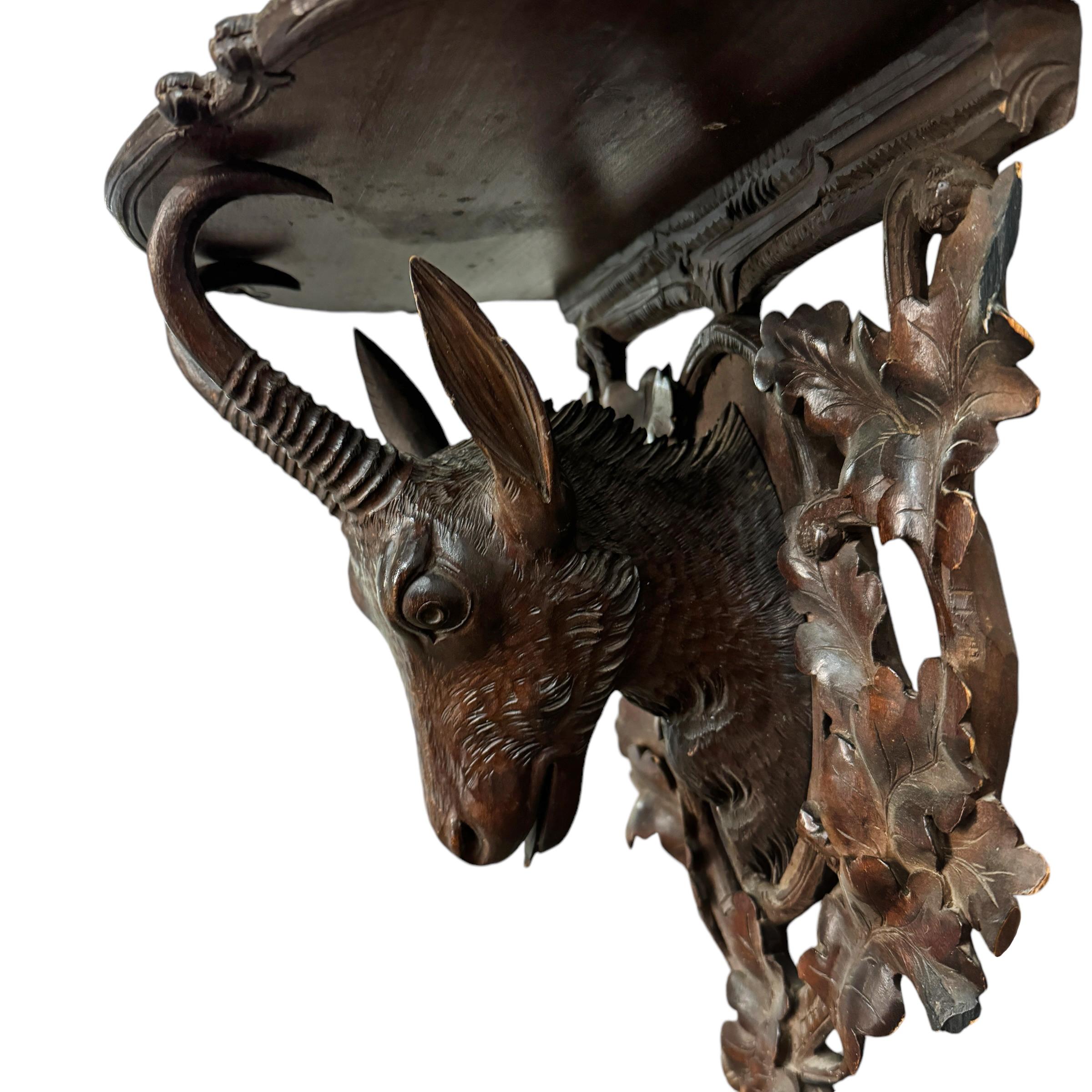 Early 20th Century Swiss Black Forest Chamois Wall Bracket 2