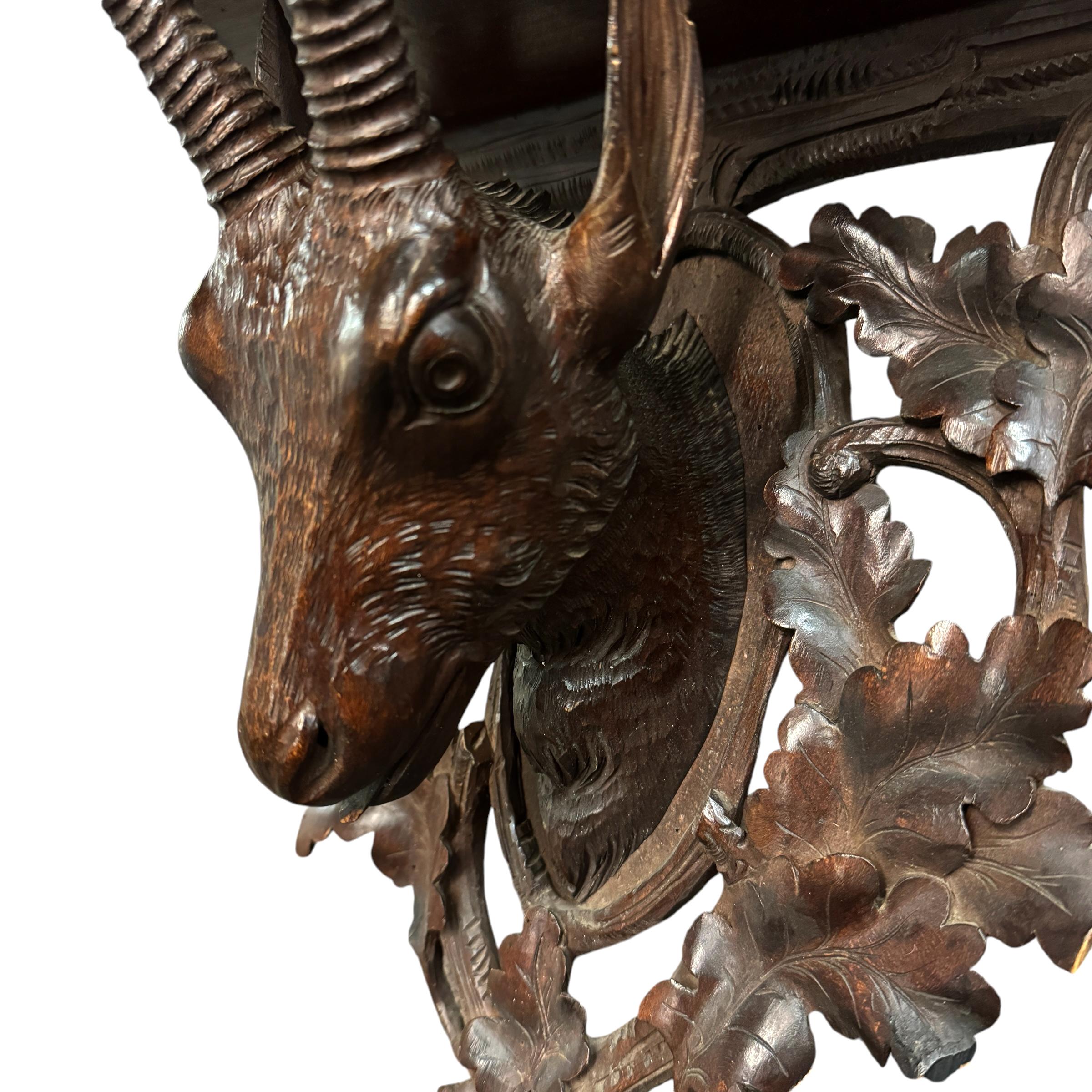 Early 20th Century Swiss Black Forest Chamois Wall Bracket 3