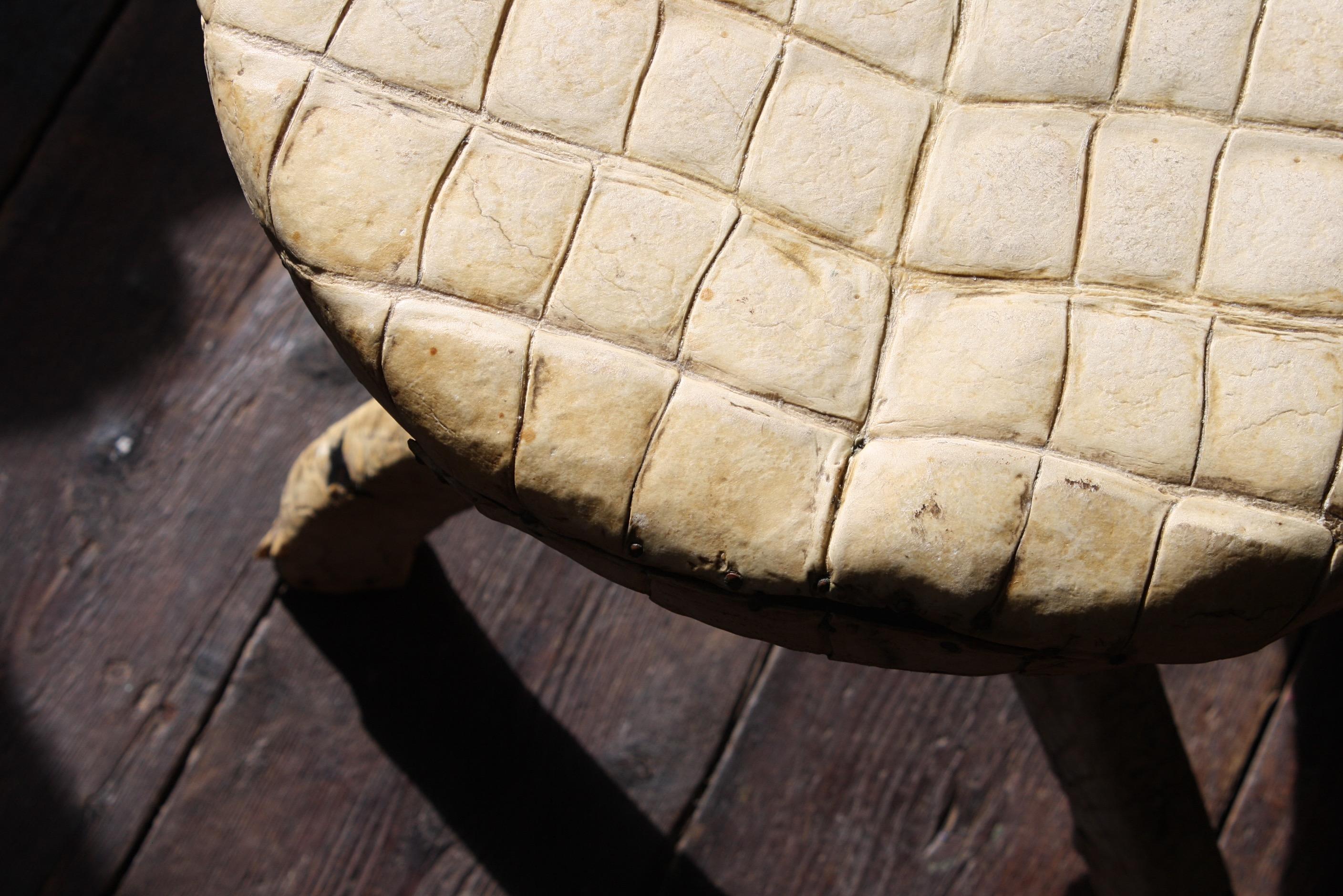 A very unusual adjustable stool, with a simple threaded mechanisms for height adjustment. The stool would appear to be from the early part of the 20th century, and has been completely covered with the belly skin of a crocodile. 

The stool has been