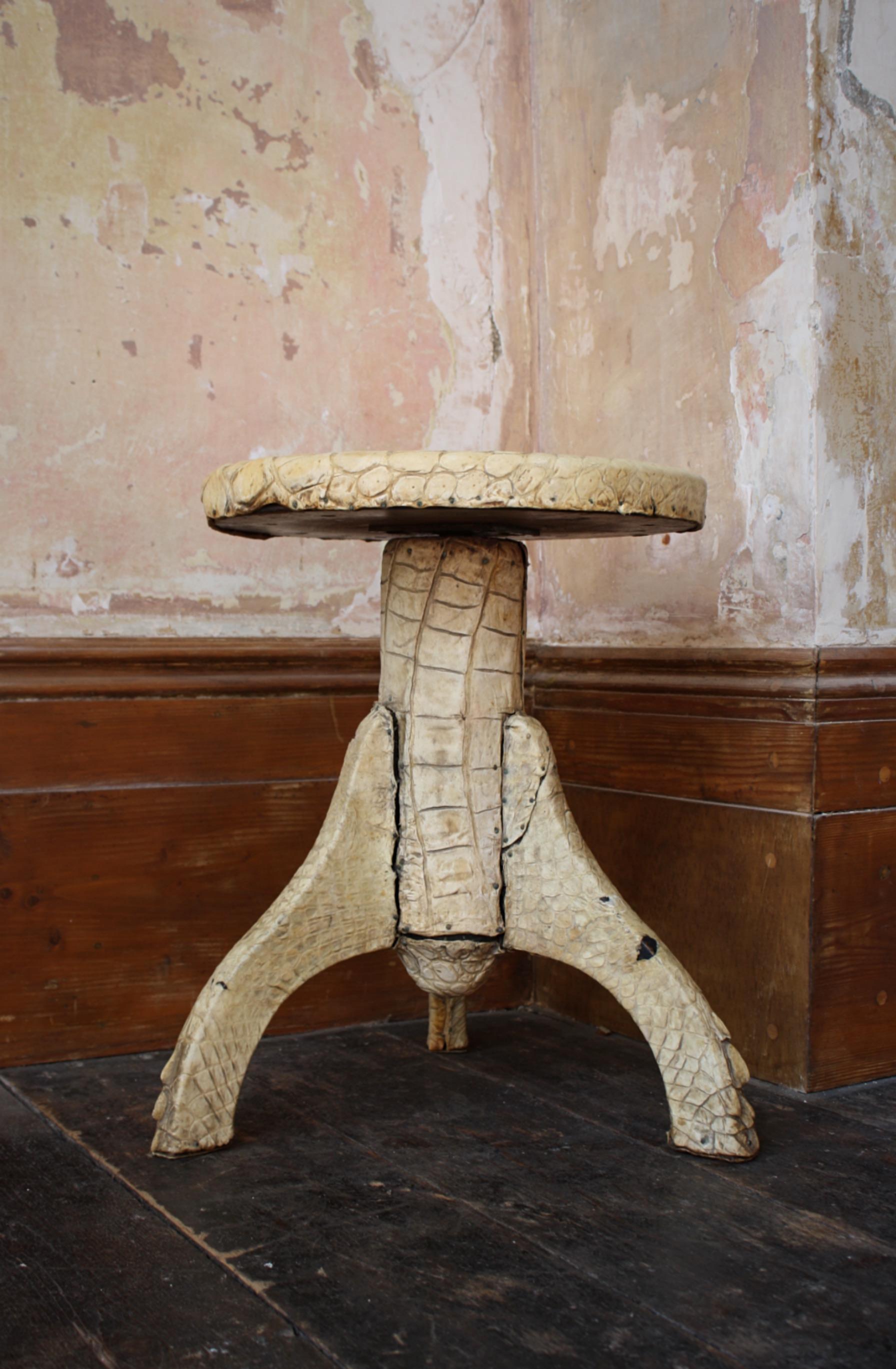 Early 20th Century Taxidermy Crocodile Belly Adjustable Stool Curio In Good Condition In Lowestoft, GB