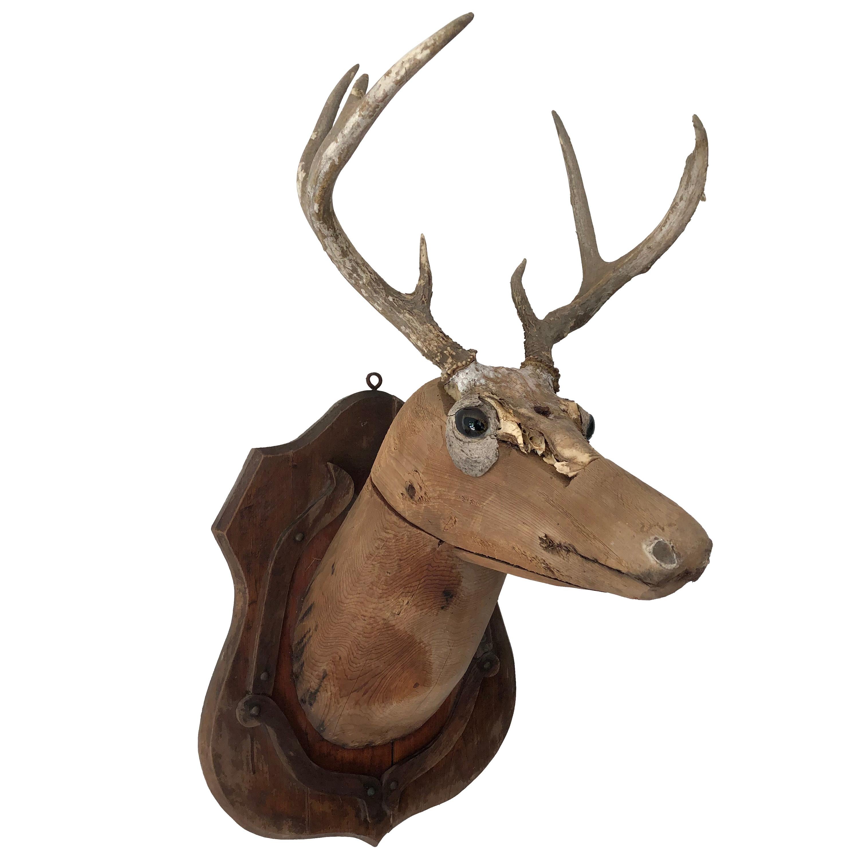 Early 20th Century Taxidermy Deer Mold
