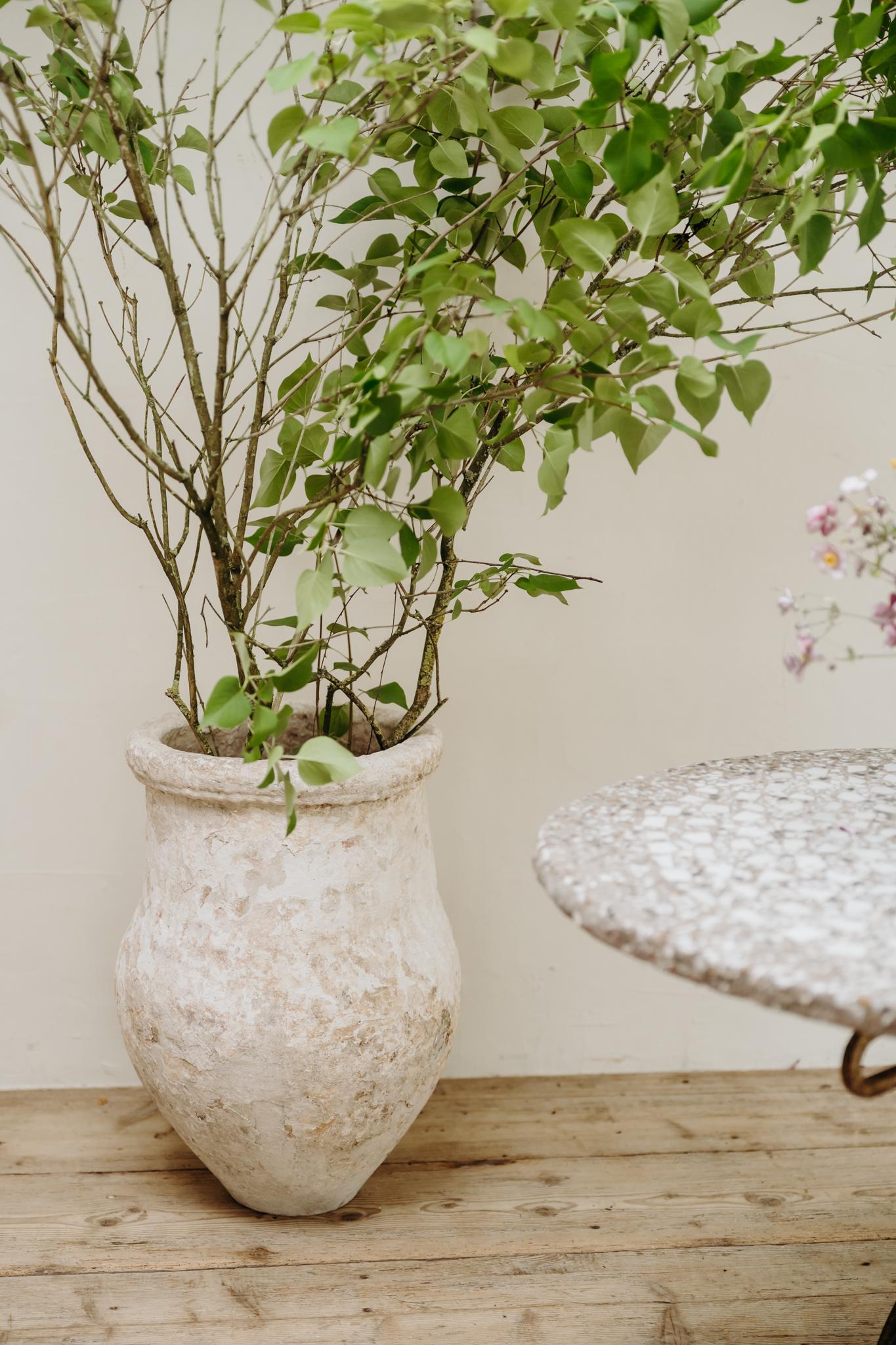 great patina on this xl terra cotta urn/planter .. can be used indoors as well as outdoors ... 