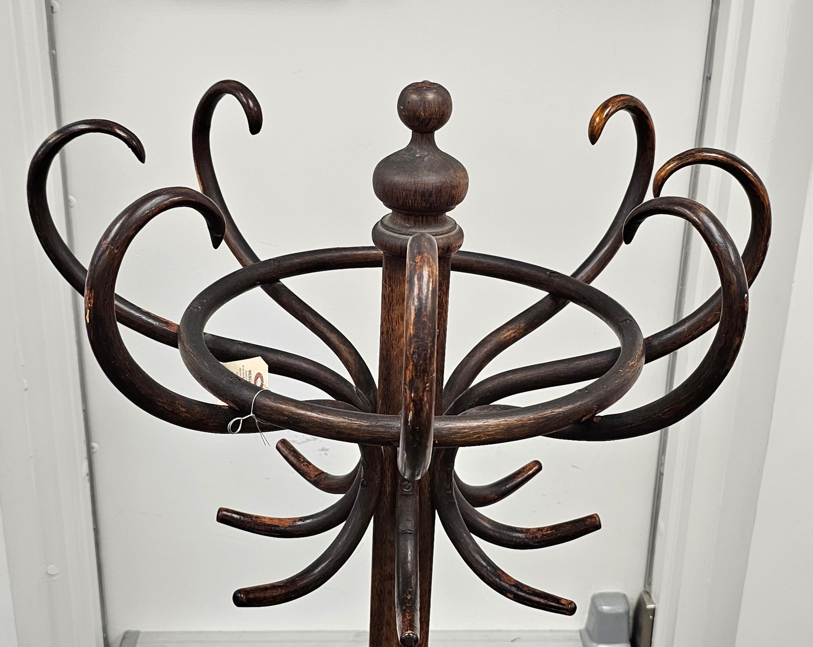 Perchero / Sombrerero Thonet de madera curvada de principios del siglo XX Manchado en venta