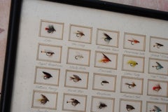 Early 20th Century Trout Fly Fishing Point of Sale Display Taxidermy Sporting