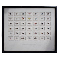 Early 20th Century Trout Fly Fishing Point of Sale Display Taxidermy Sporting