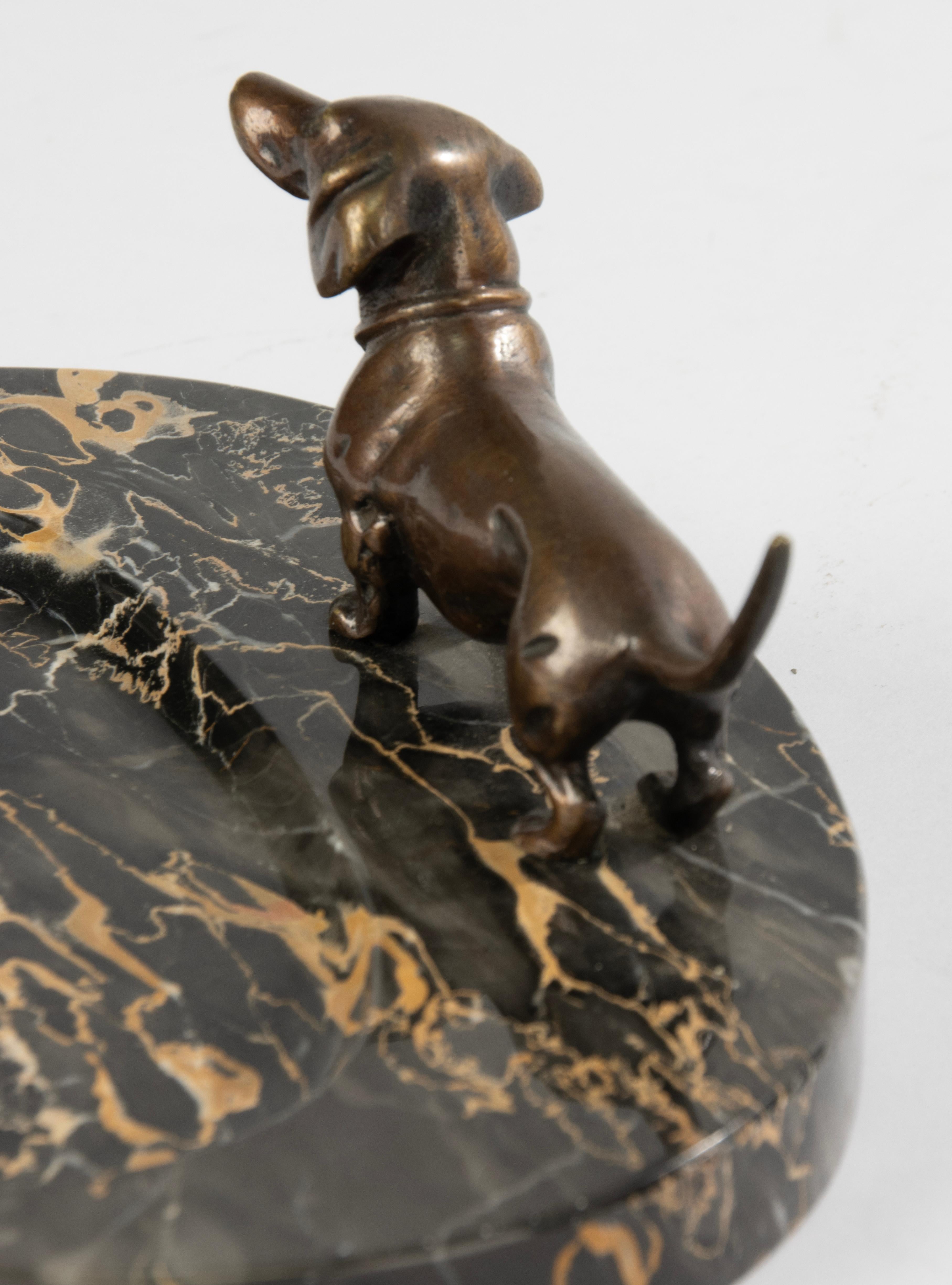 Vide-Poche des frühen 20. Jahrhunderts – Dachshund aus Bronze auf Marmorsockel  im Angebot 5