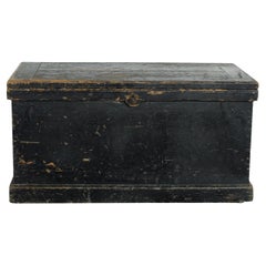 Early 20th Century Vintage European Black Trunk